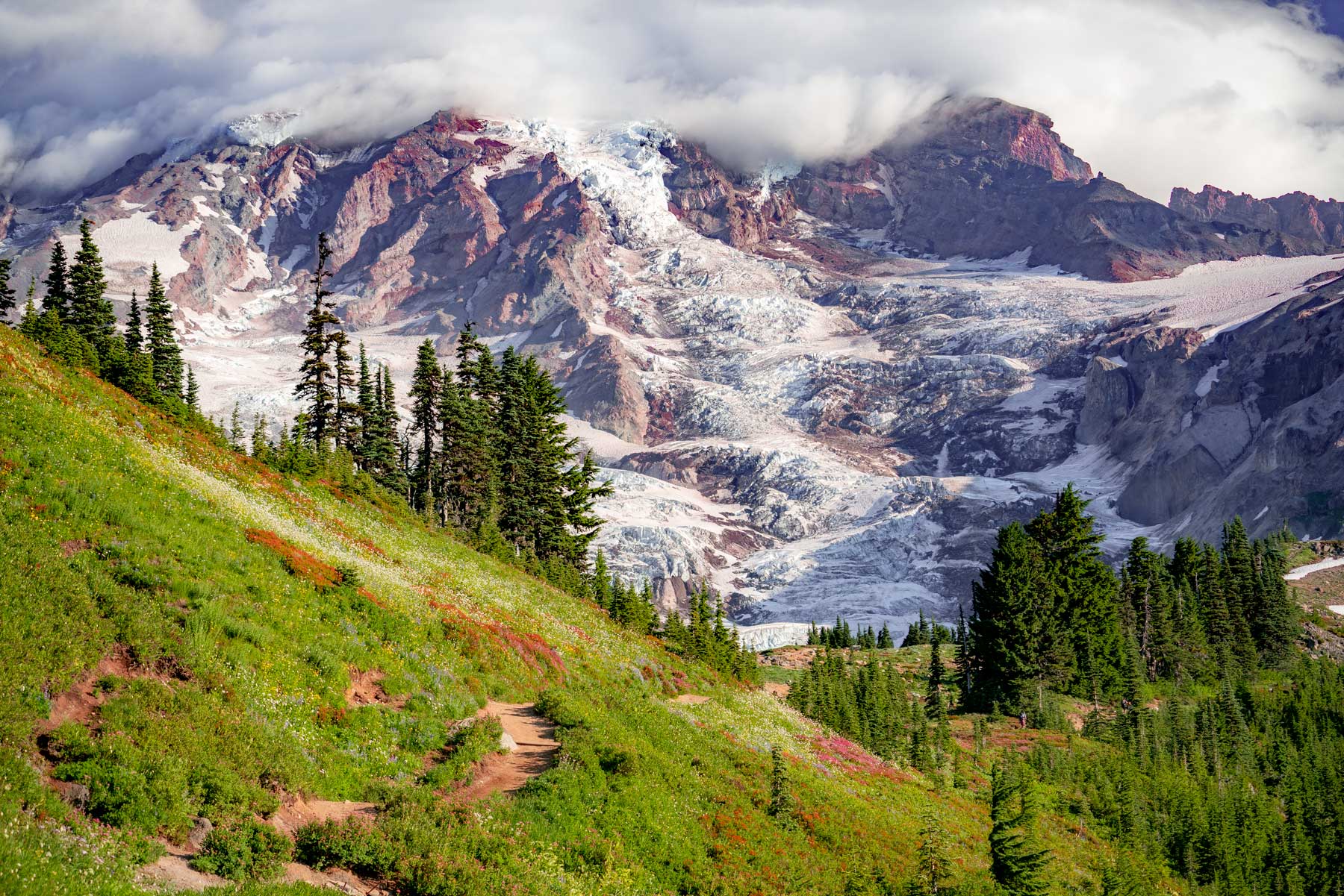 Mount Rainier National Park Wallpapers