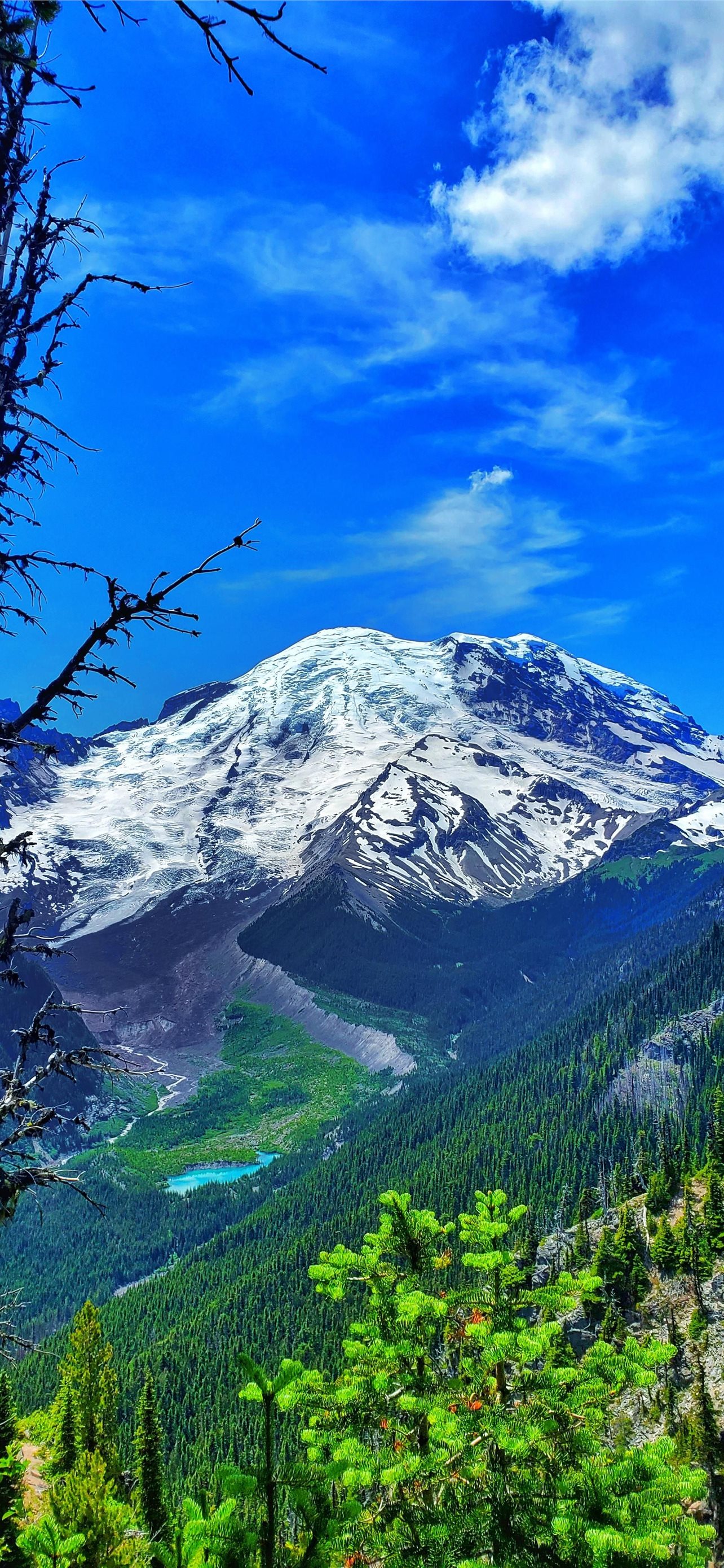 Mount Rainier National Park Wallpapers