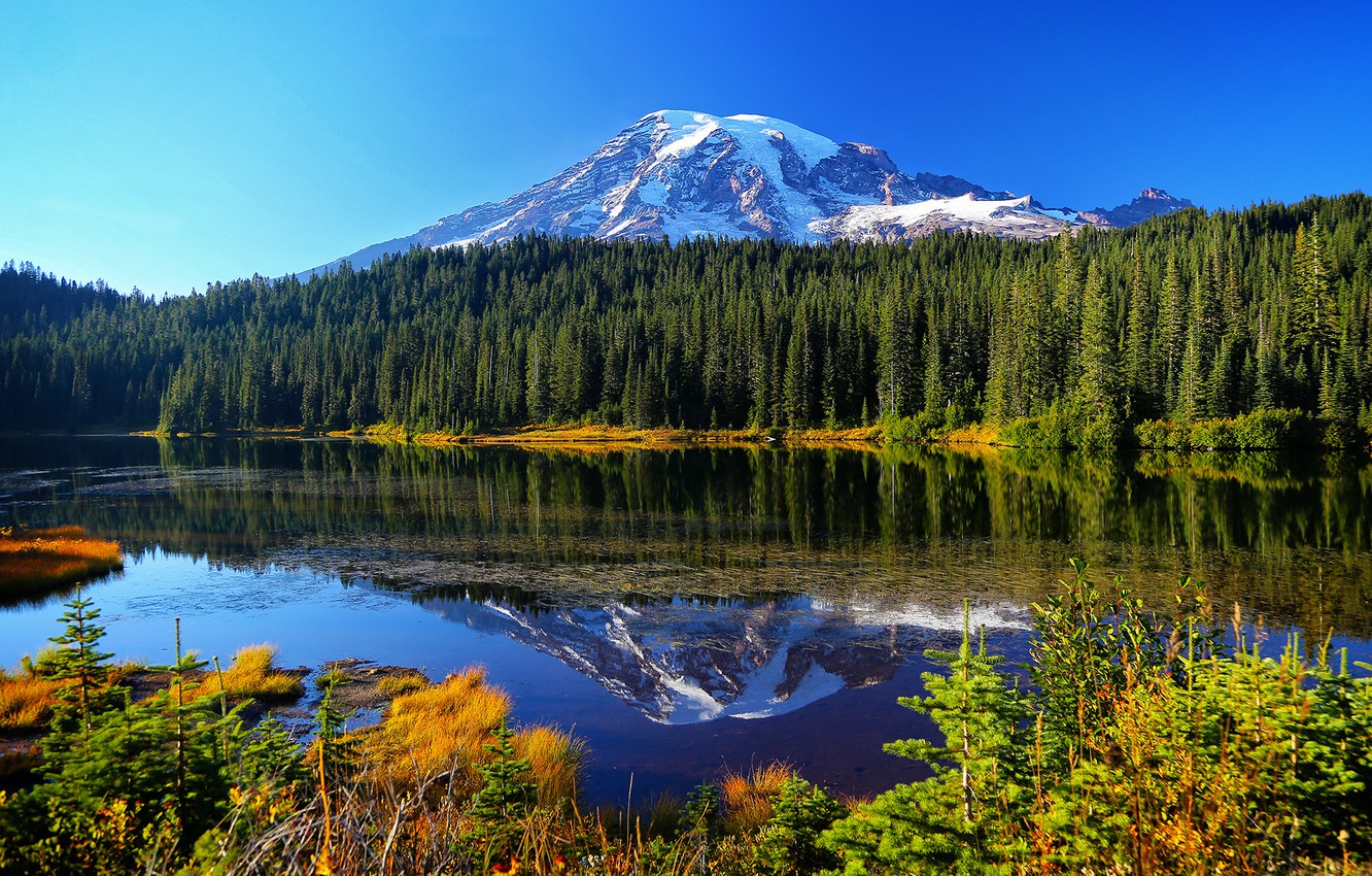 Mount Rainier National Park Wallpapers