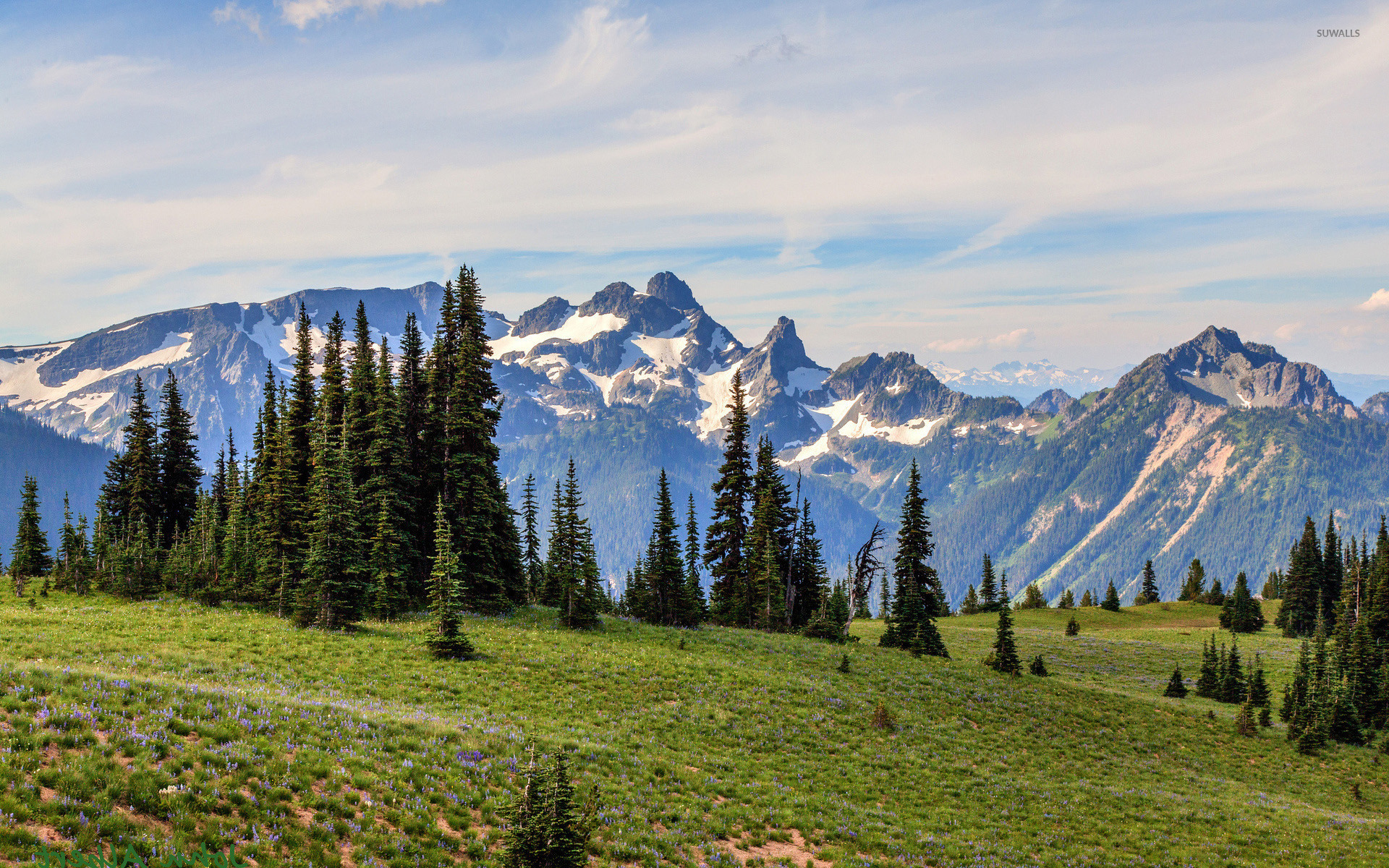 Mount Rainier National Park Wallpapers