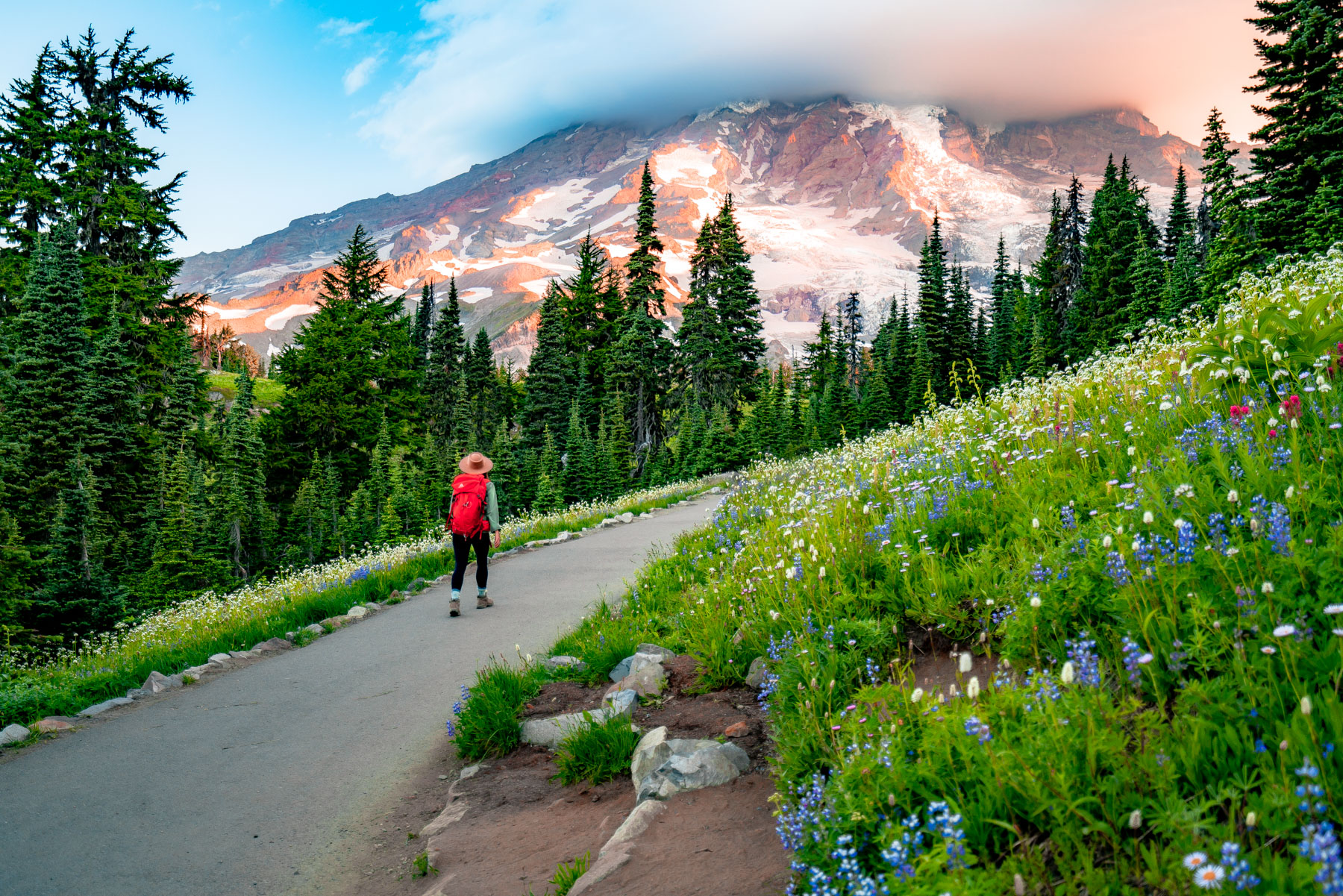 Mount Rainier National Park Wallpapers