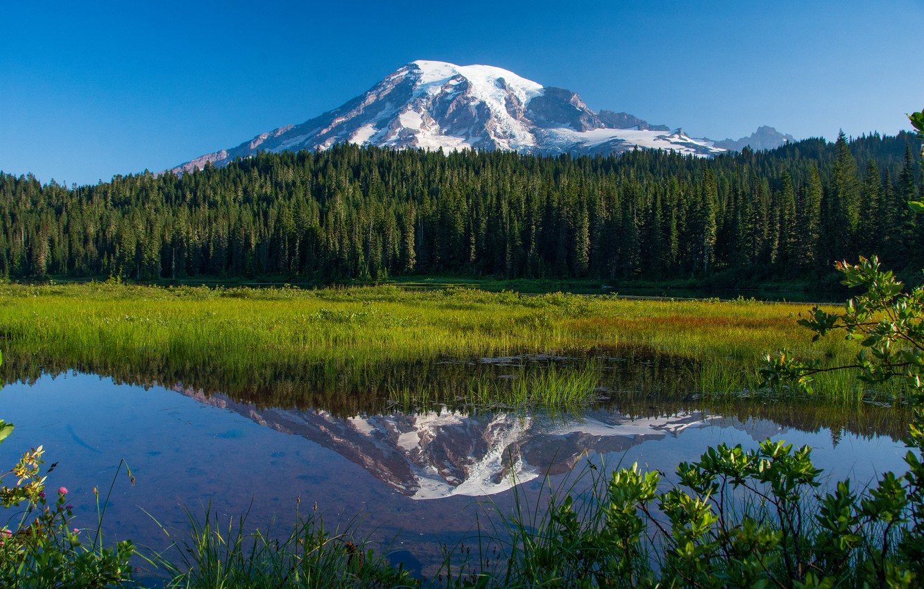 Mount Rainier National Park Wallpapers