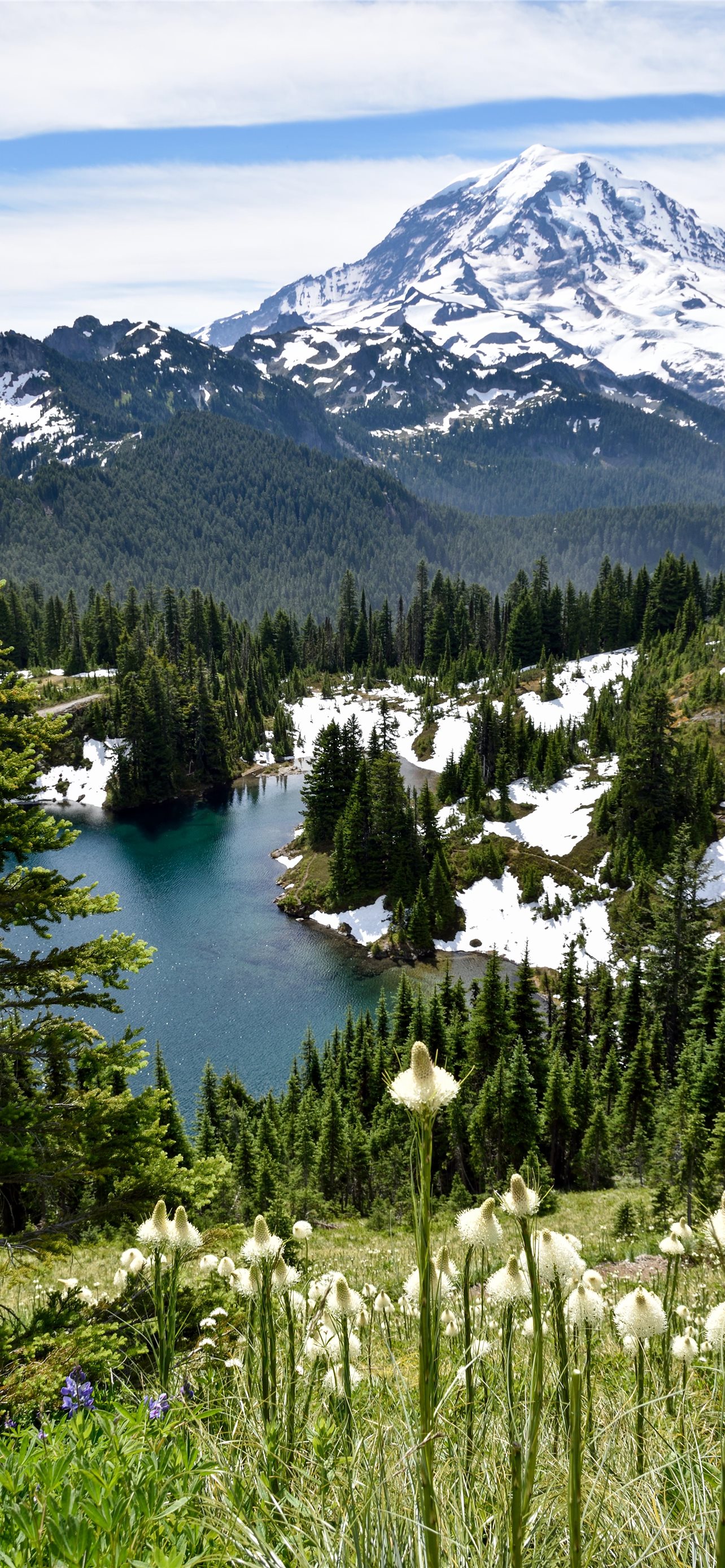 Mount Rainier National Park Wallpapers