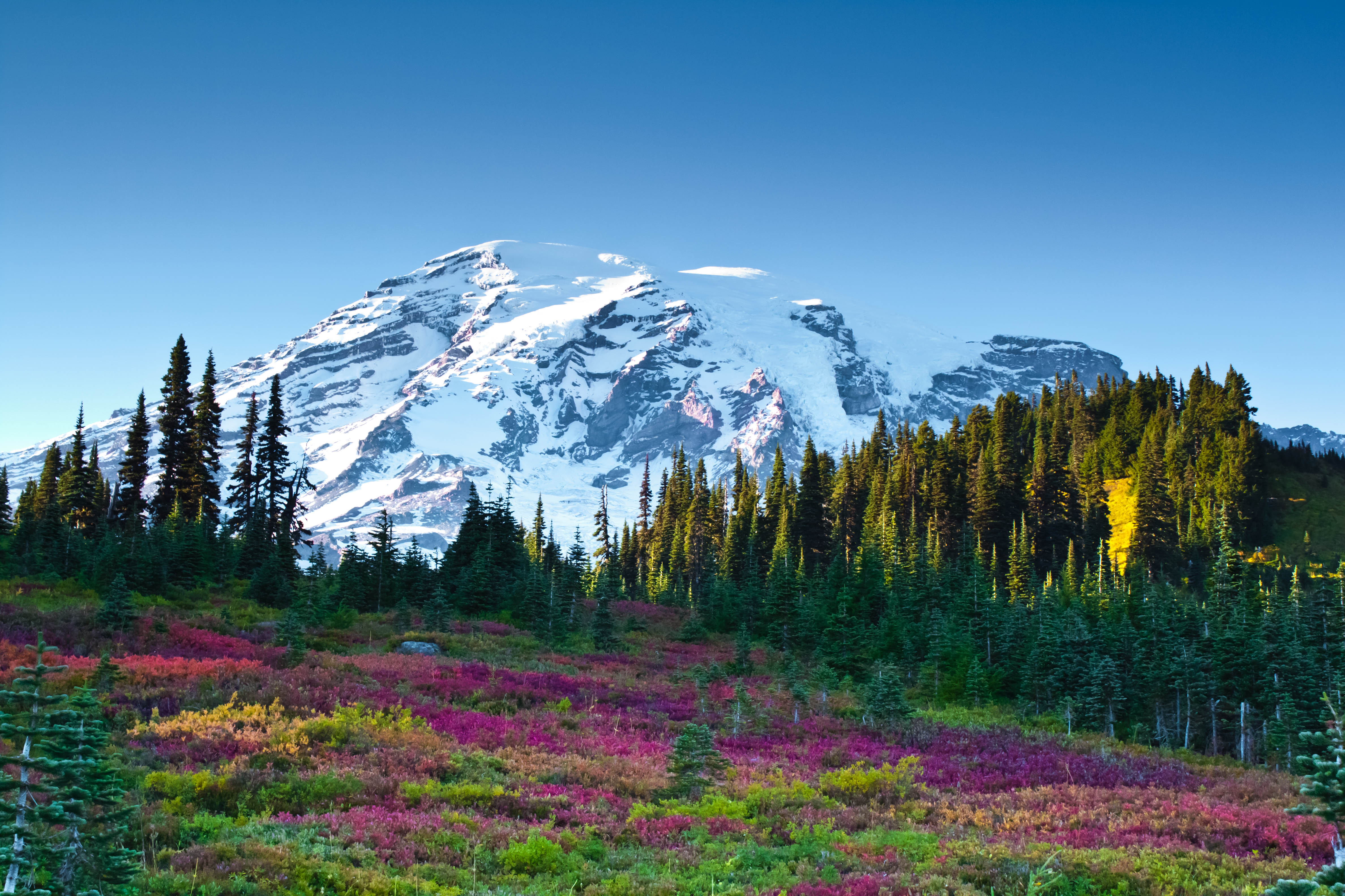 Mount Rainier National Park Wallpapers