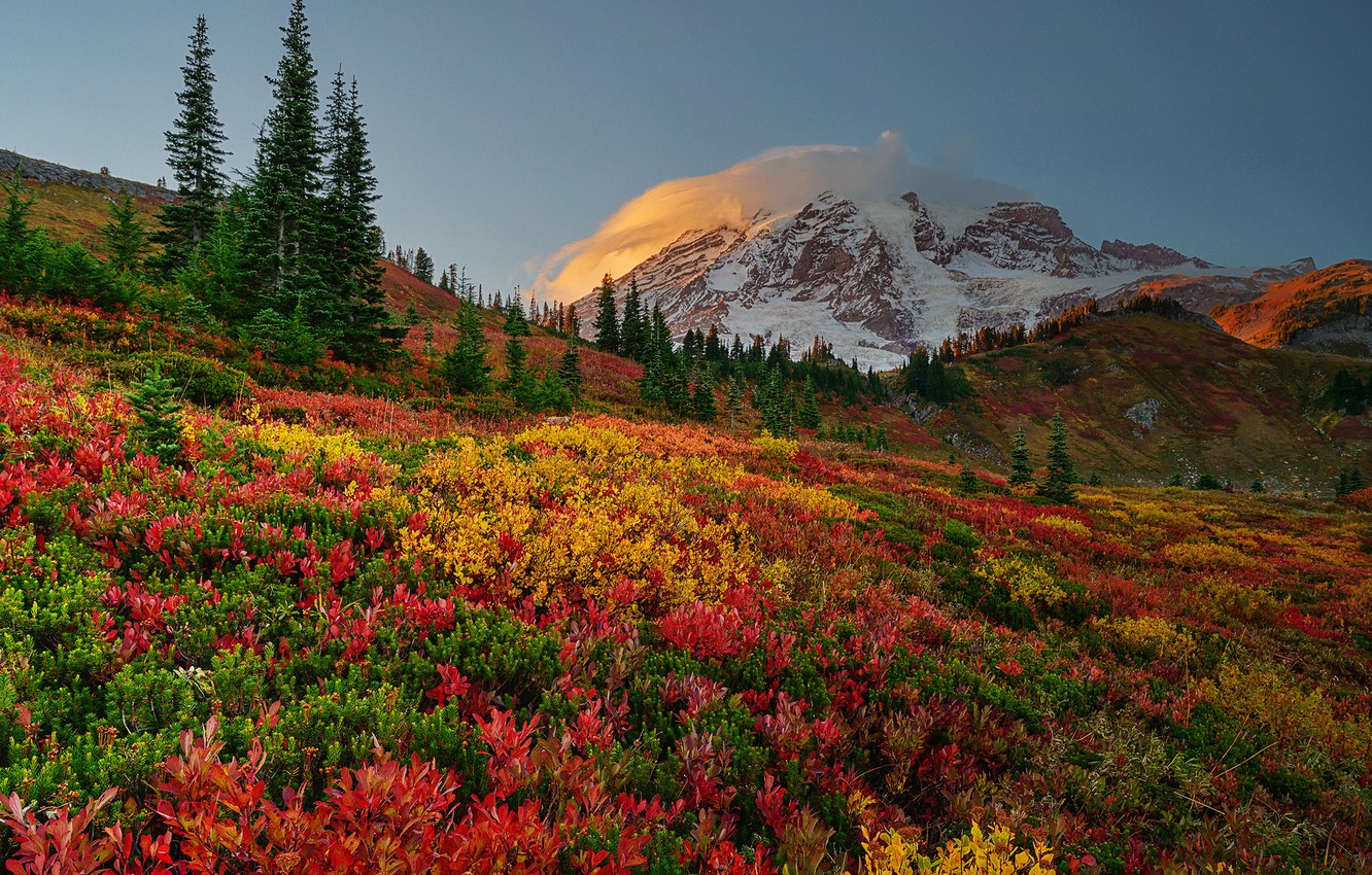 Mount Rainier National Park Wallpapers