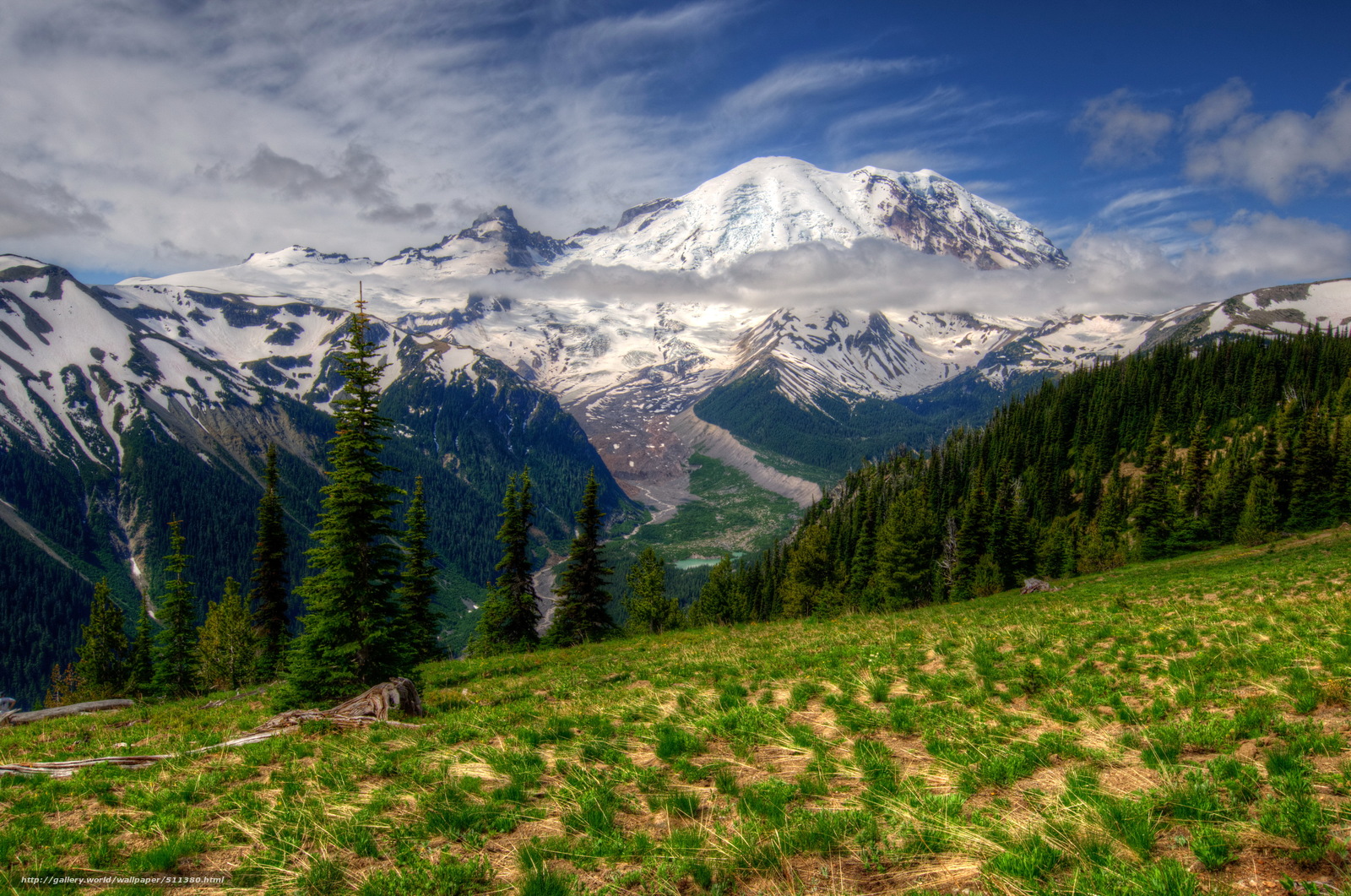 Mount Rainier National Park Wallpapers