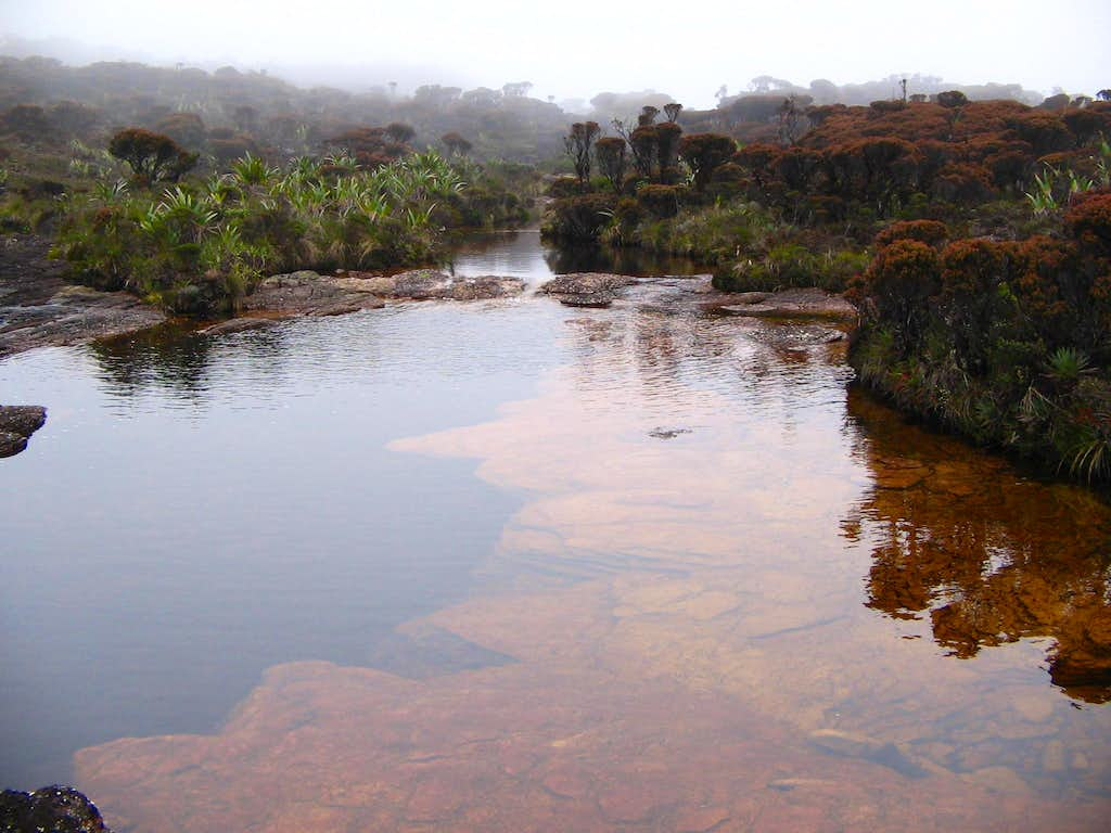 Mount Roraima Wallpapers