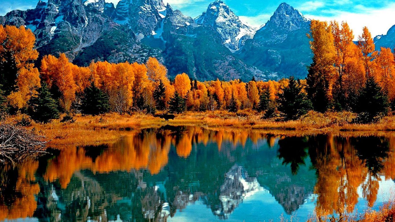 Mountain Fall Foliage Wallpapers