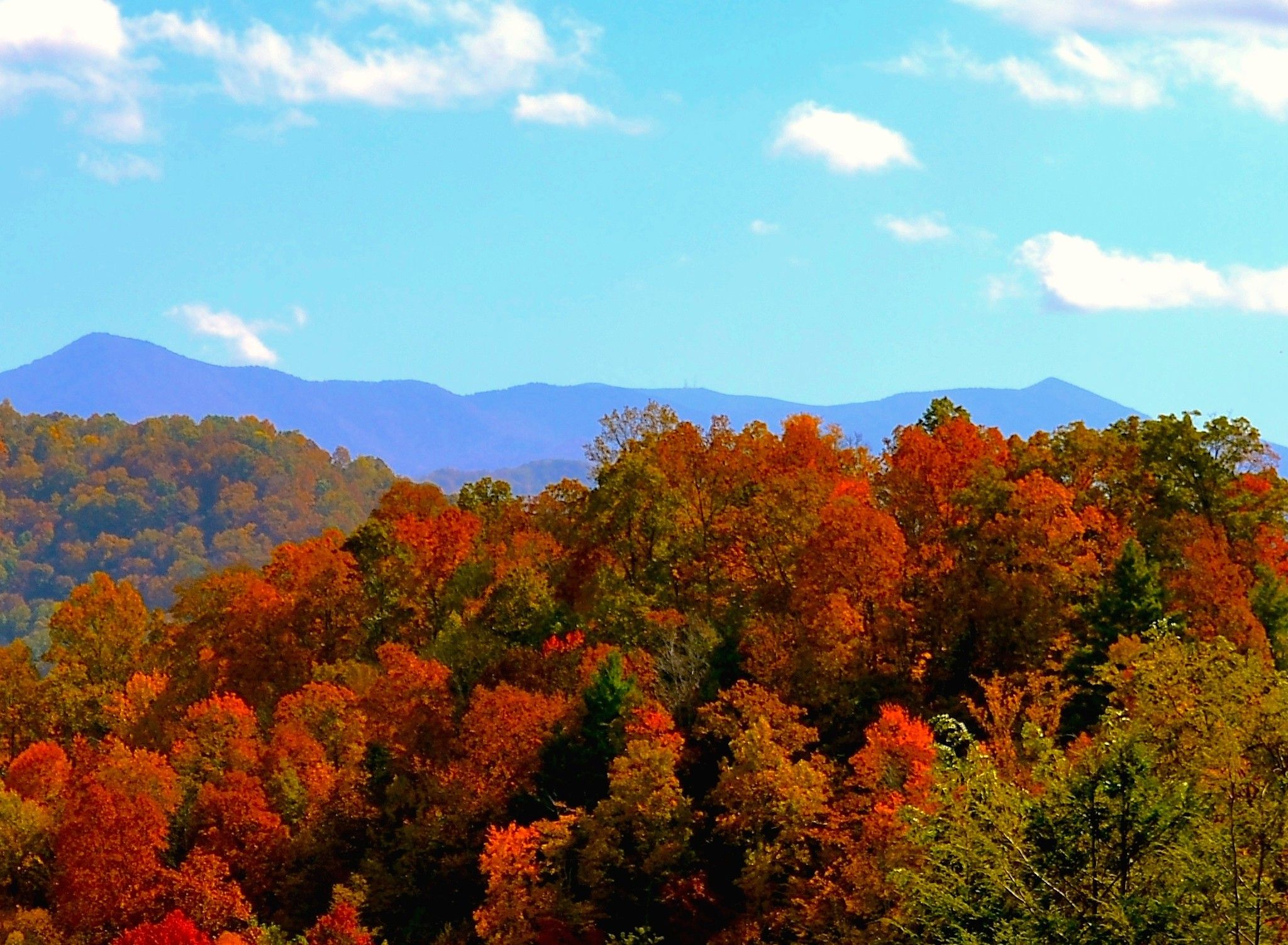 Mountain Fall Foliage Wallpapers