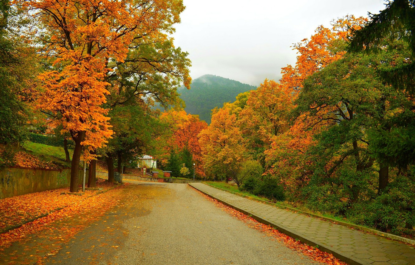 Mountain Fall Foliage Wallpapers