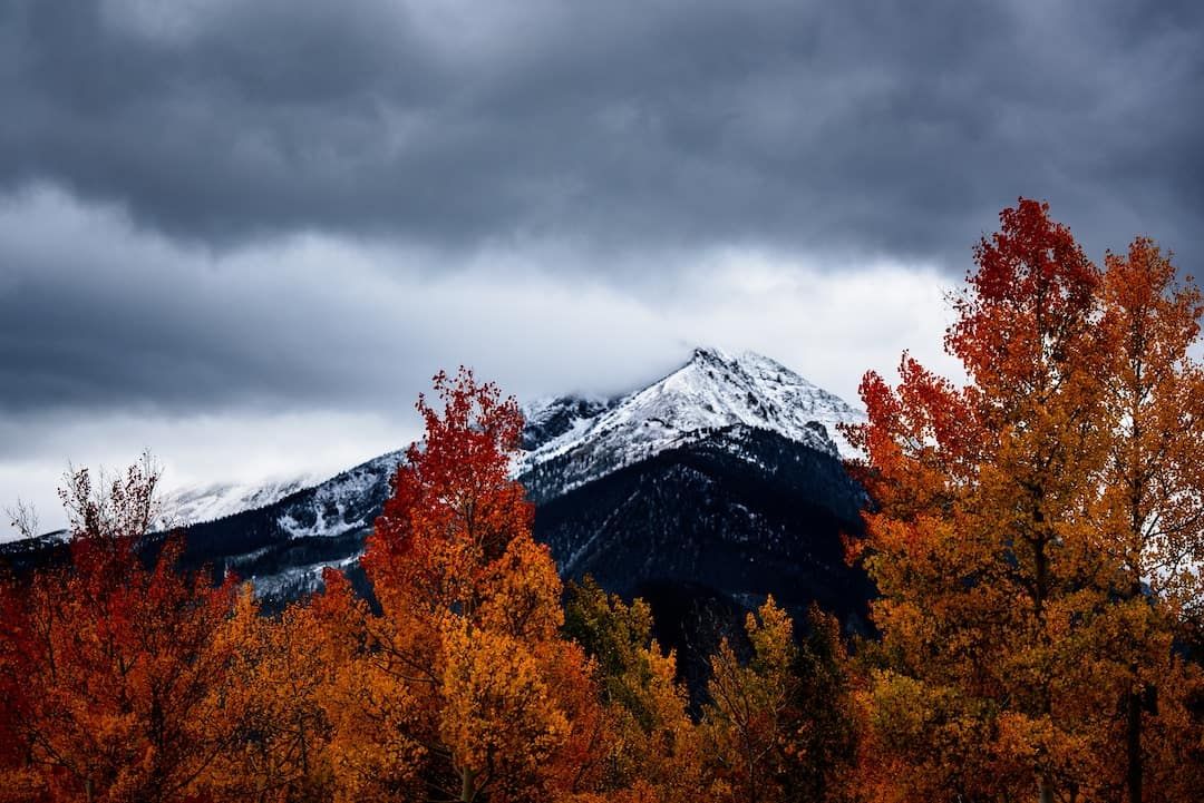 Mountain Fall Foliage Wallpapers