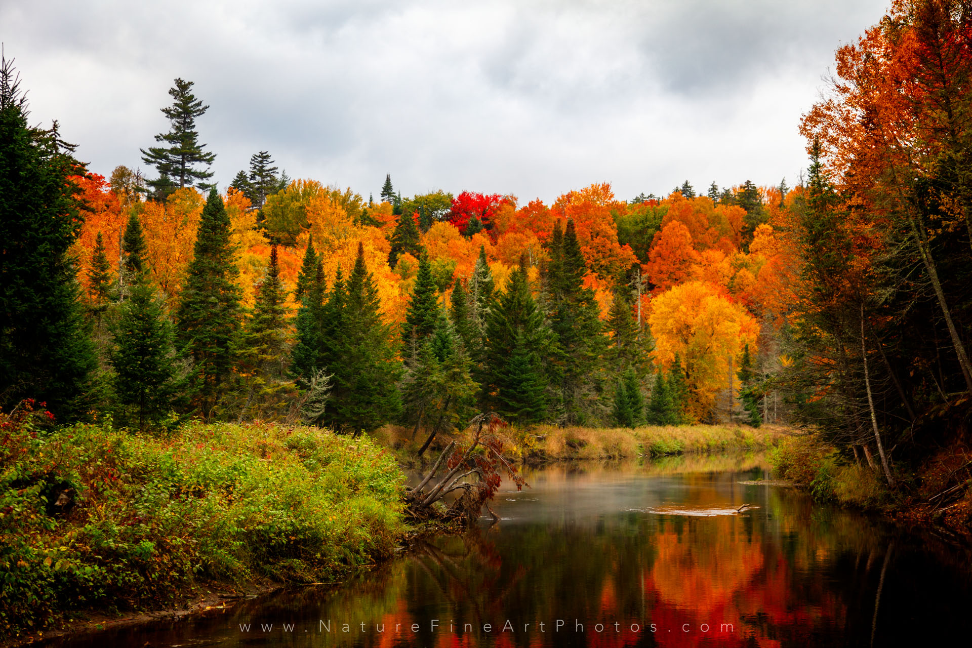 Mountain Fall Foliage Wallpapers