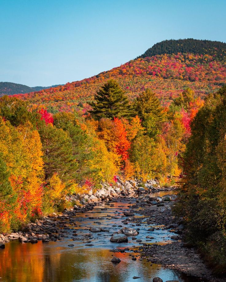 Mountain Fall Foliage Wallpapers