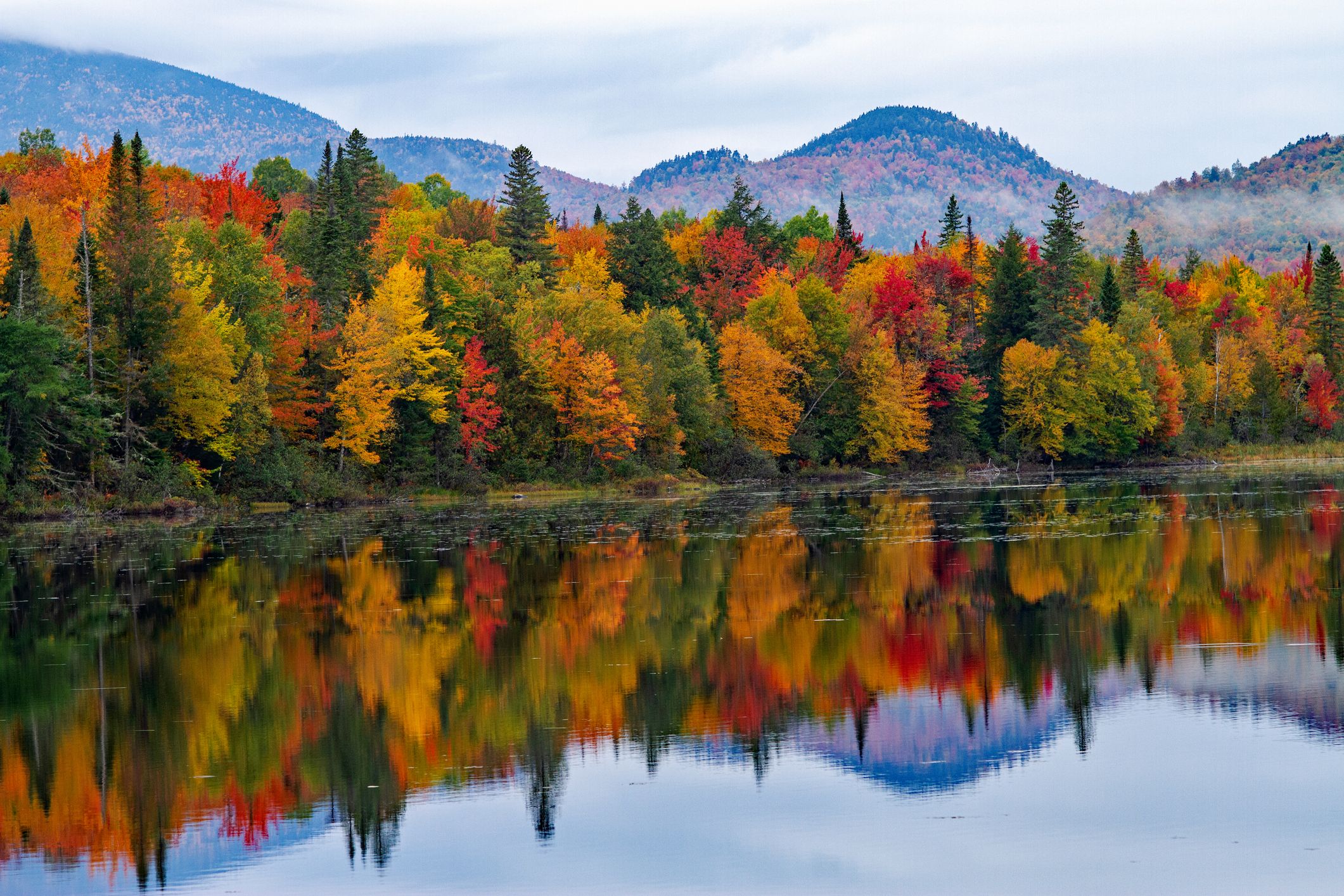 Mountain Fall Foliage Wallpapers