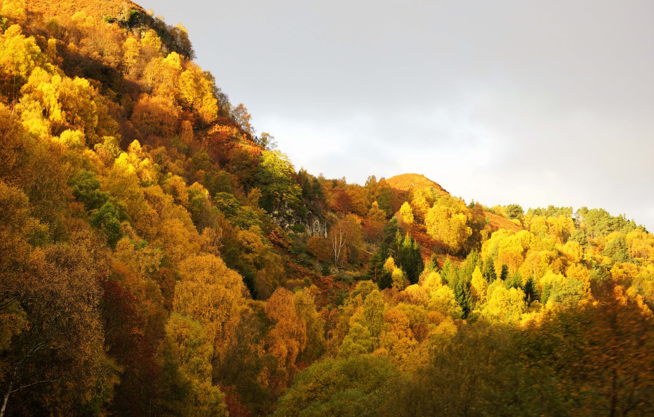 Mountain Fall Foliage Wallpapers