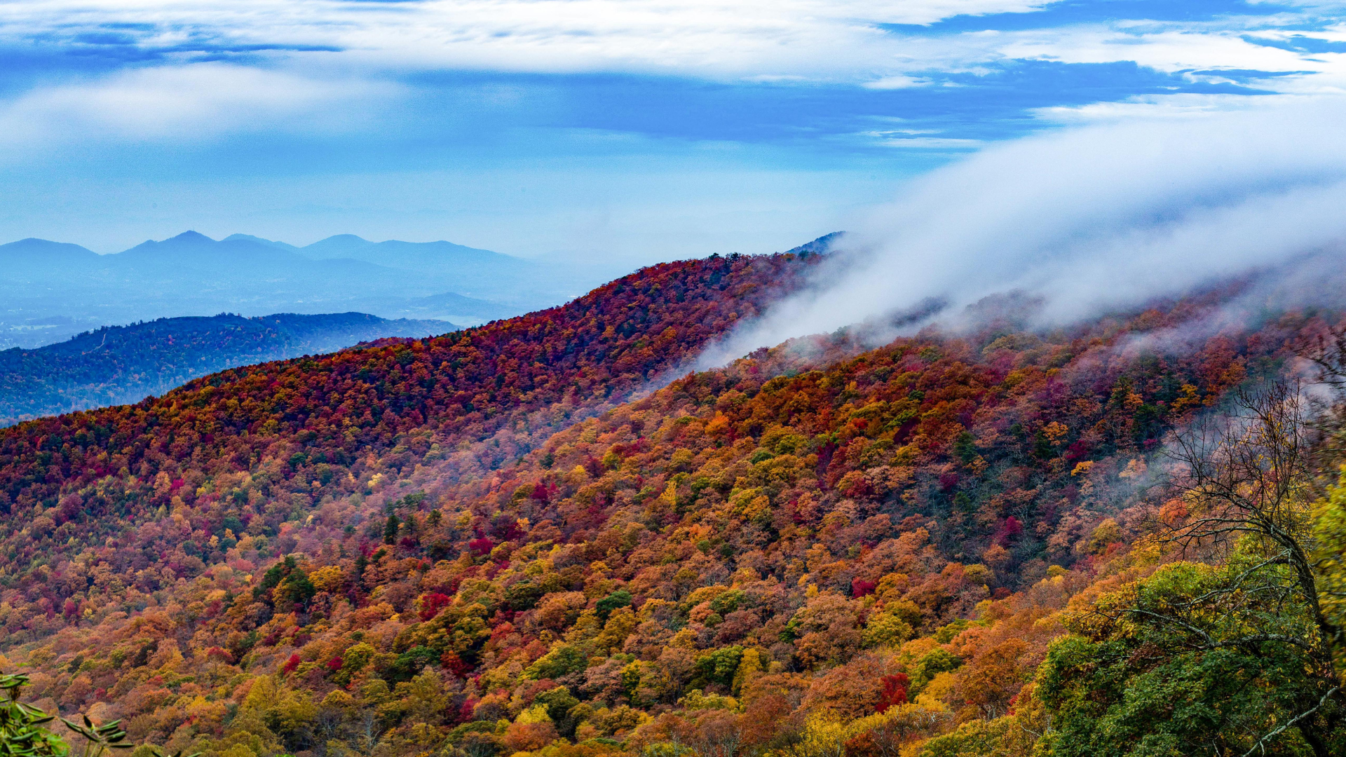 Mountain Fall Foliage Wallpapers