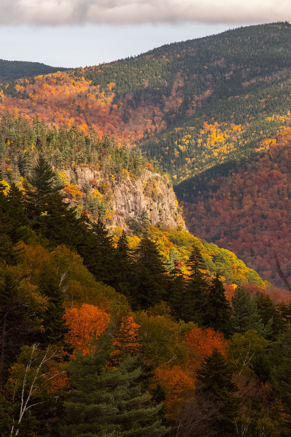 Mountain Fall Foliage Wallpapers