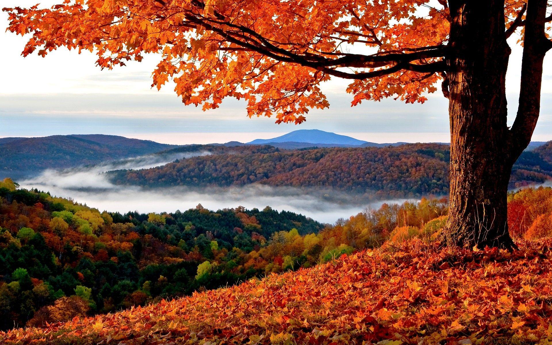 Mountain Landscape Autumn Wallpapers