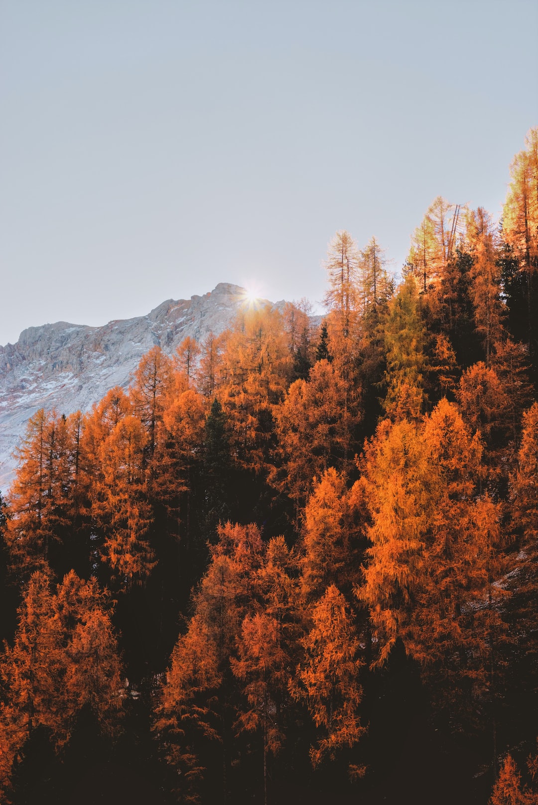 Mountain Landscape Autumn Wallpapers