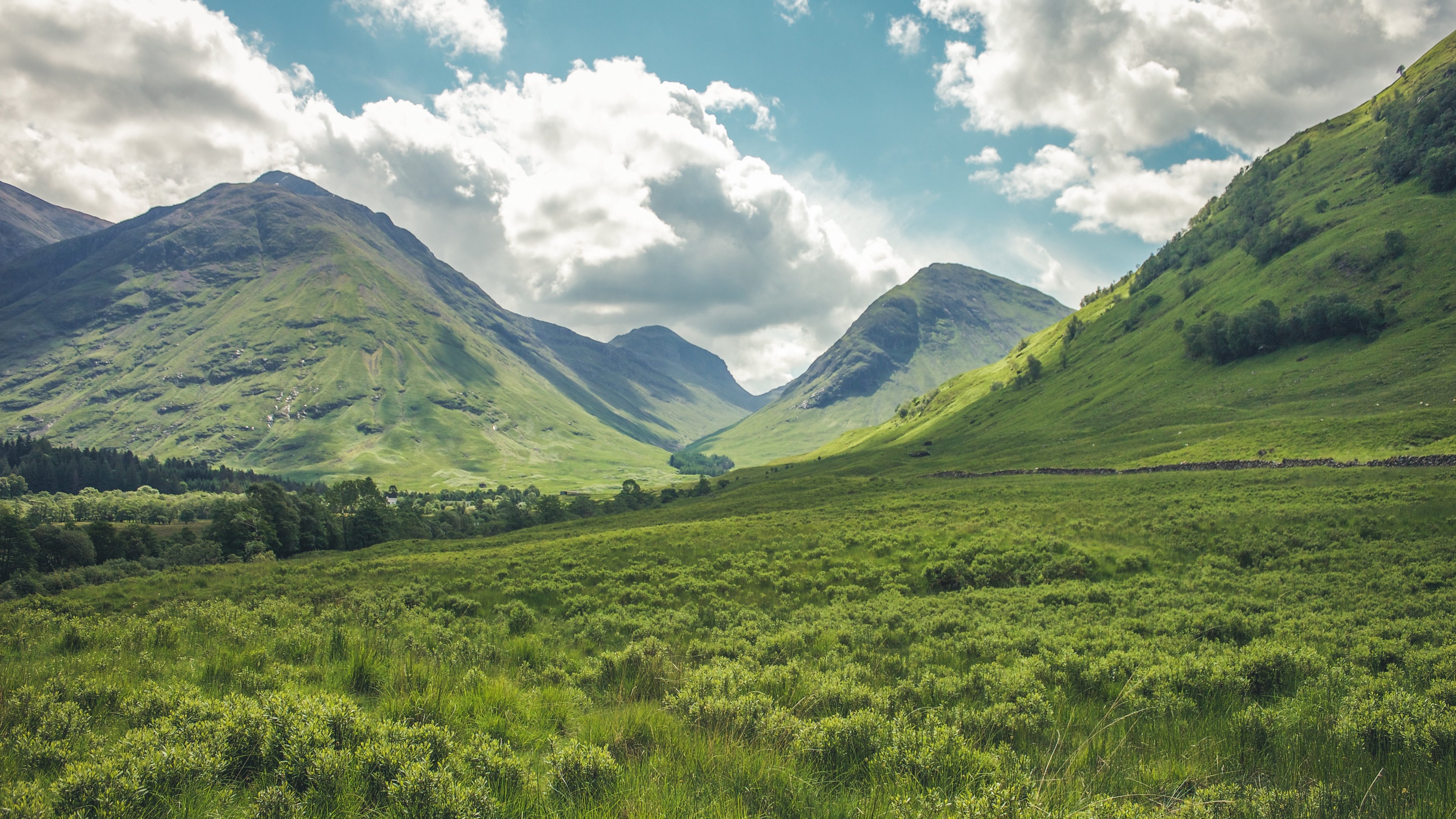 Mountain Meadow Wallpapers