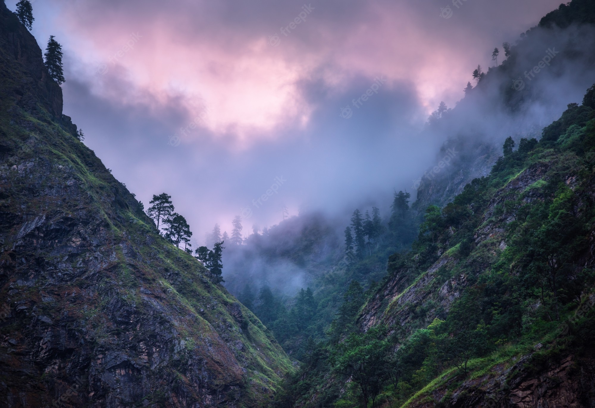 Mountain Peaks Fog  And Pink Clouds Wallpapers