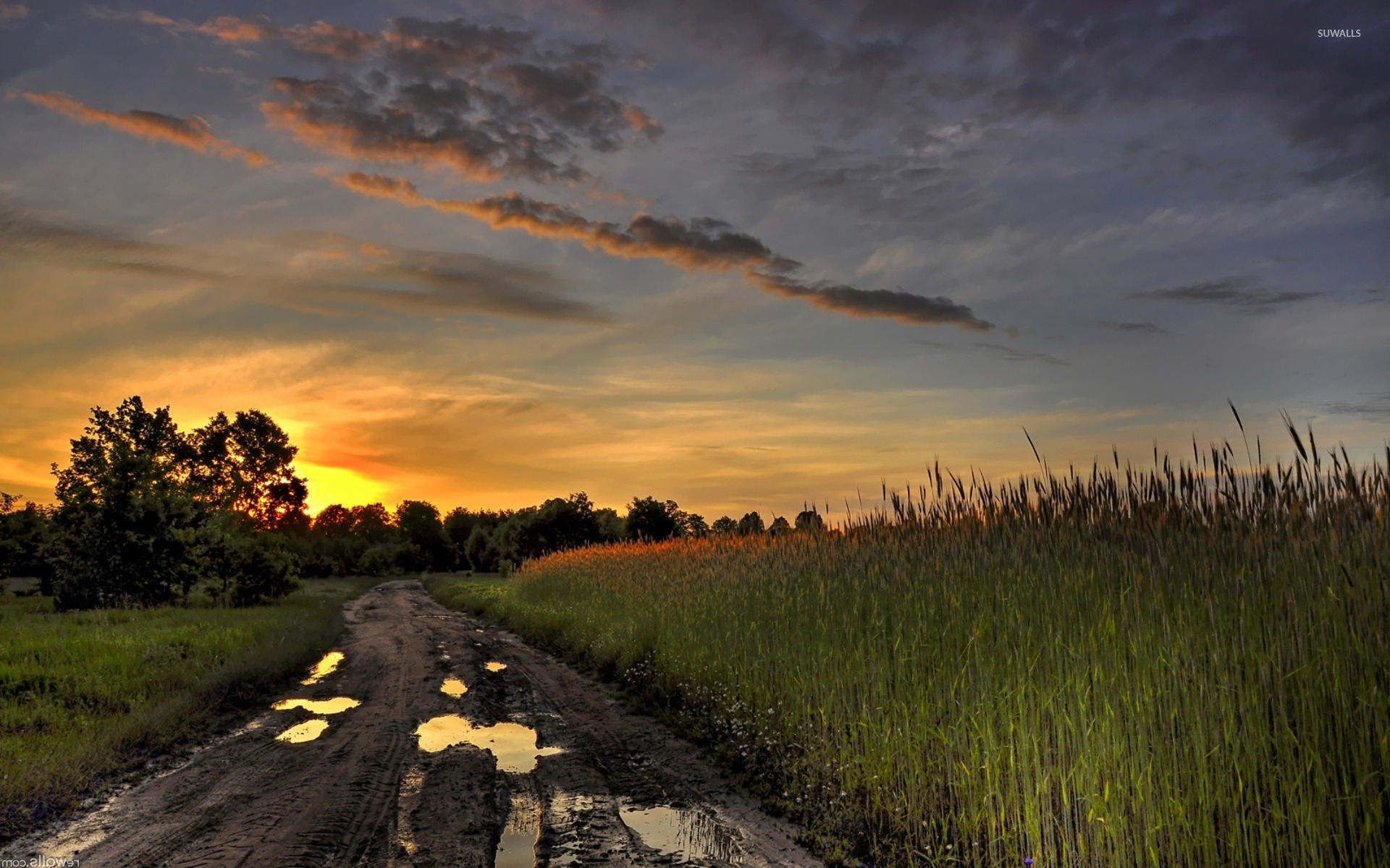 Muddy Field Wallpapers