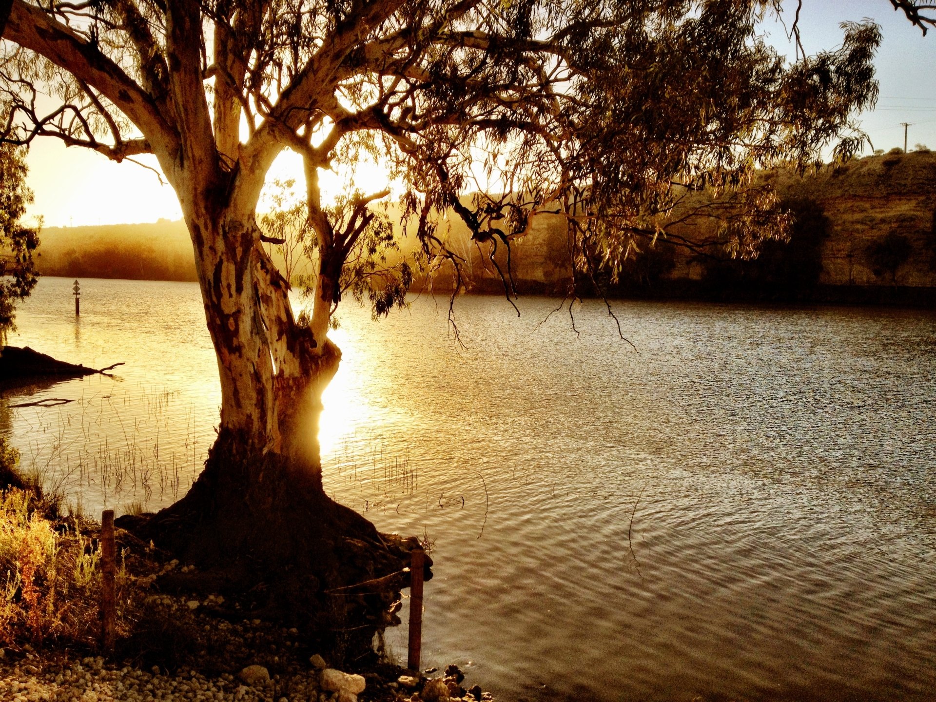 Murray River Wallpapers