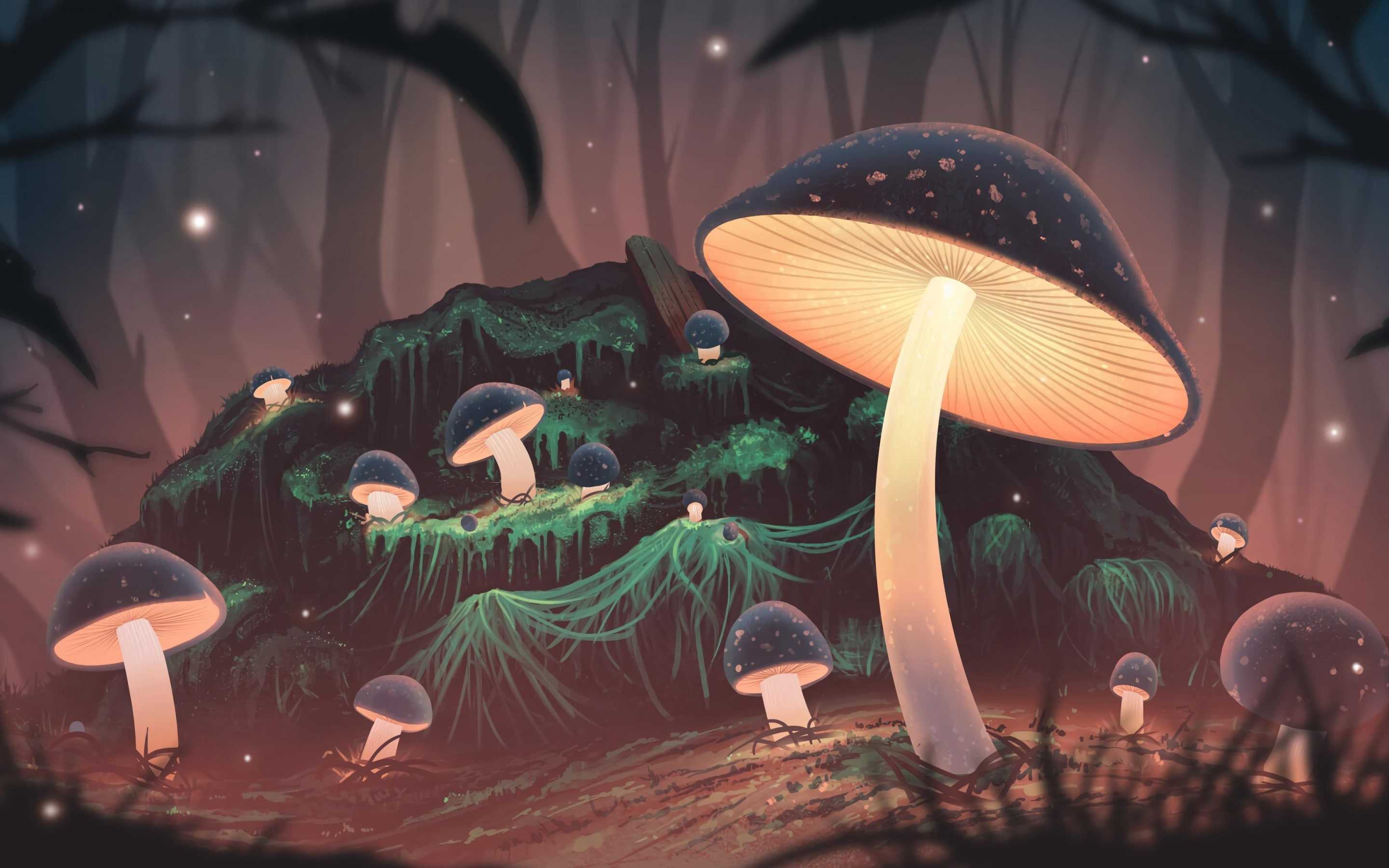 Mushroom Wallpapers