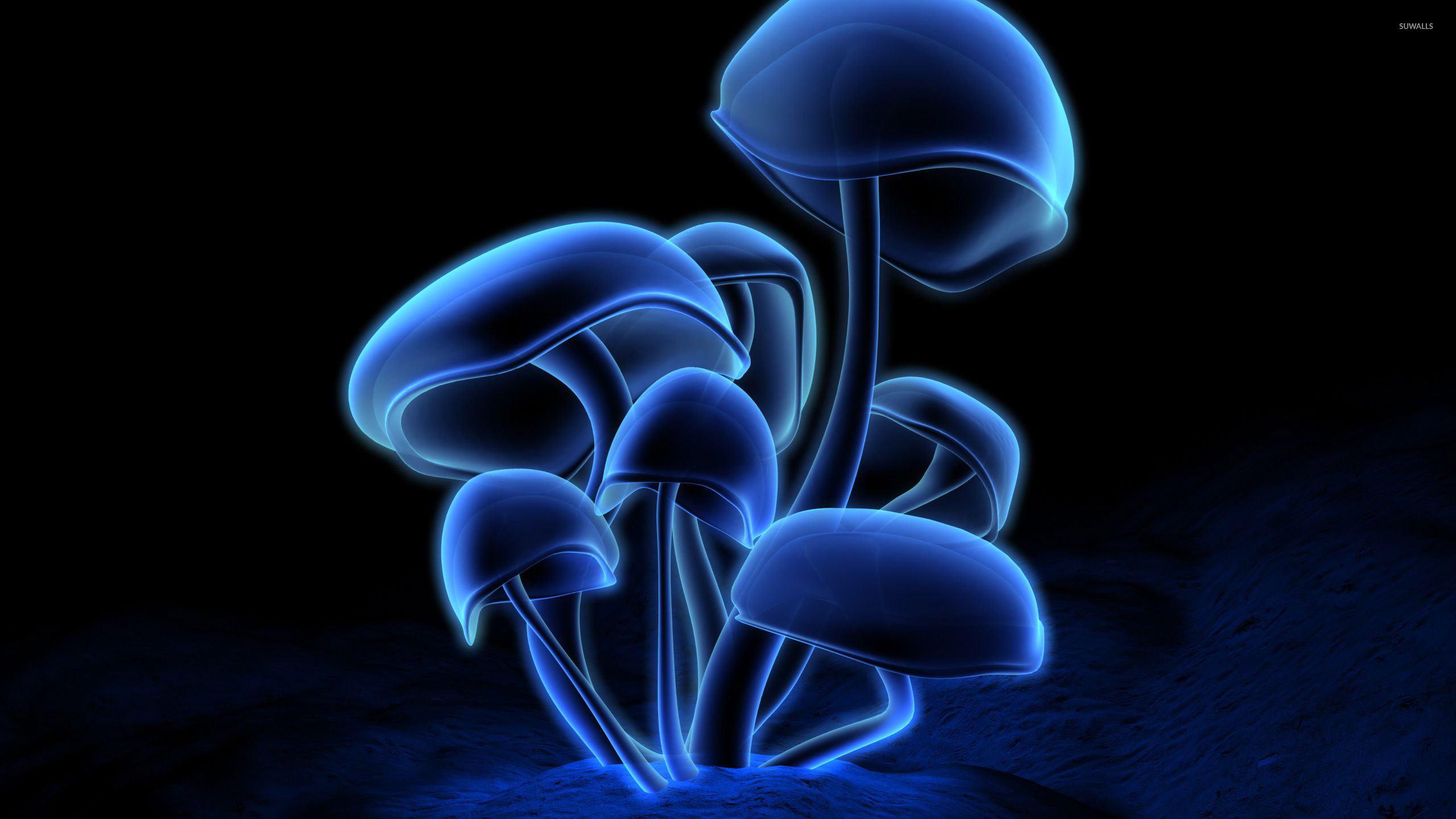 Mushroom Wallpapers