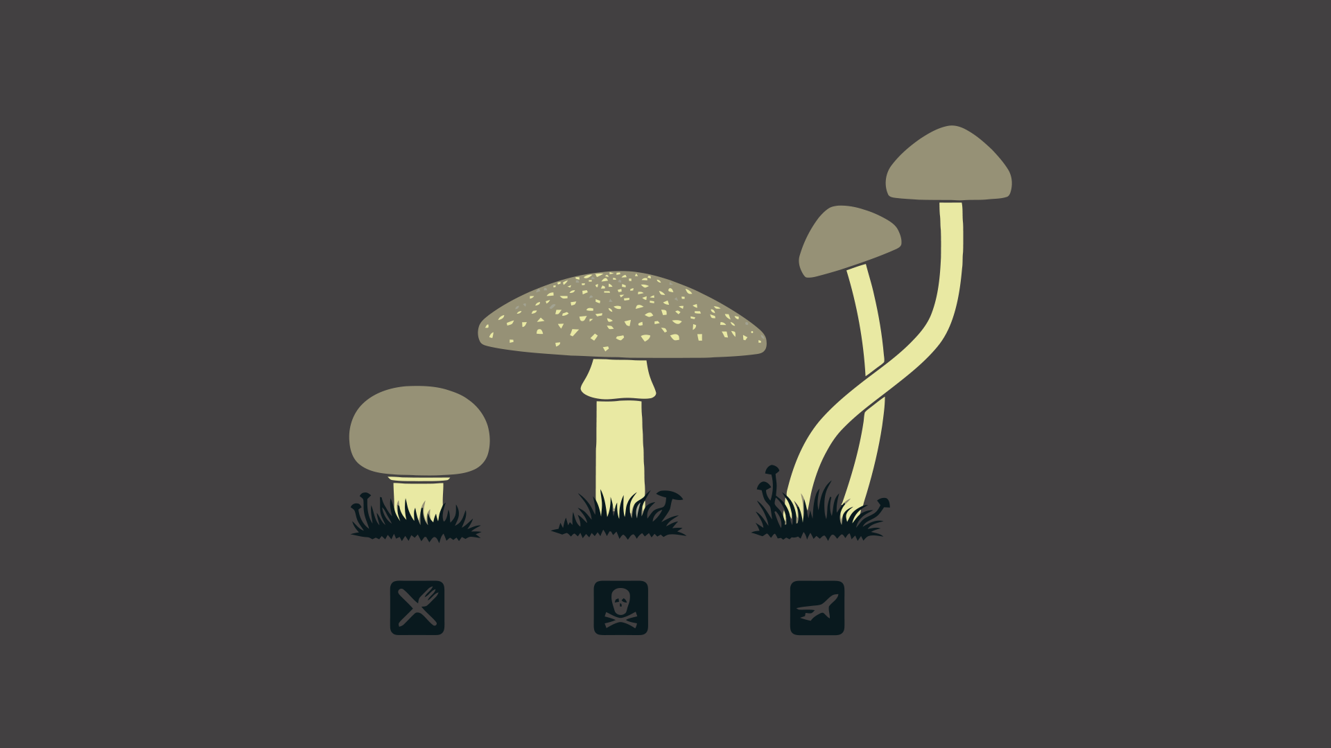 Mushrooms Wallpapers