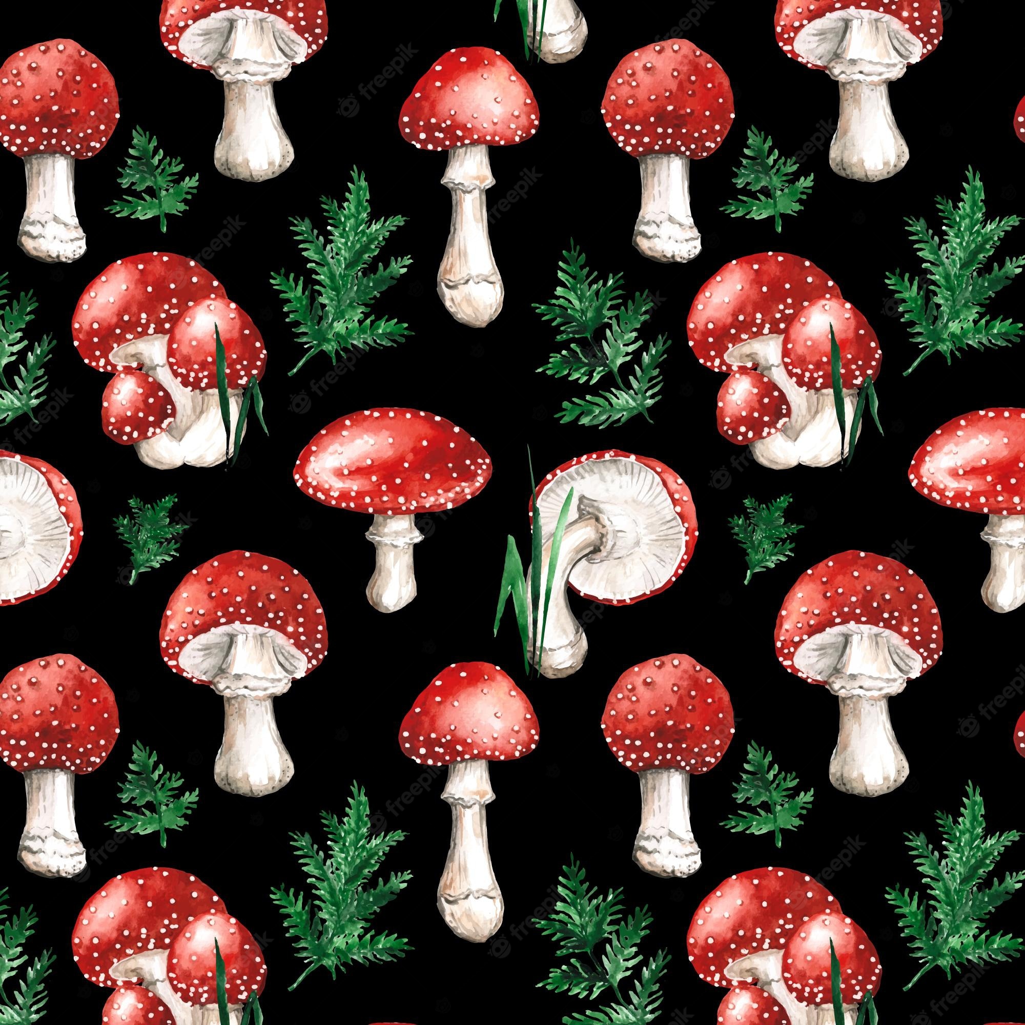 Mushrooms Wallpapers