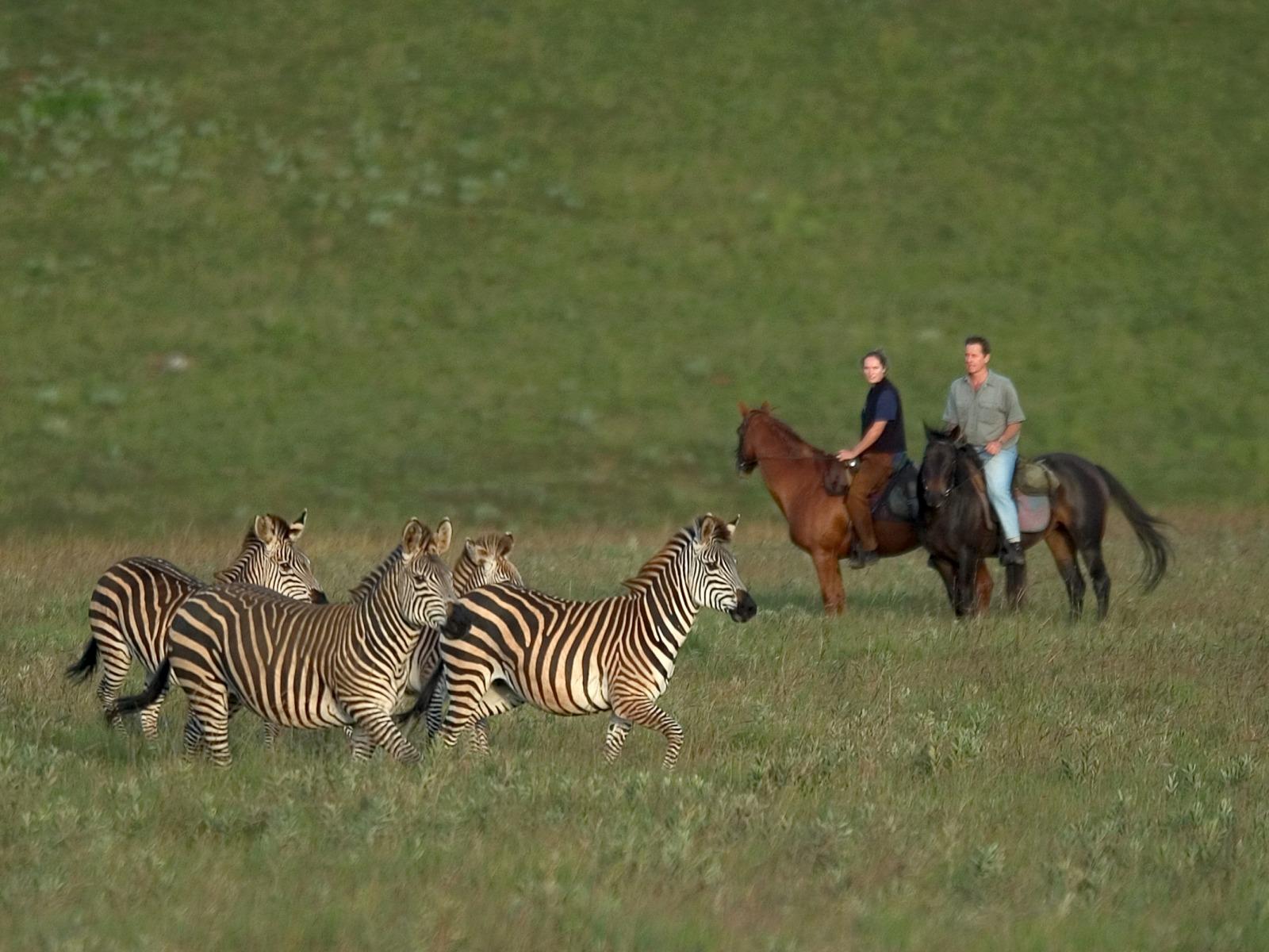 Nyika National Park Wallpapers