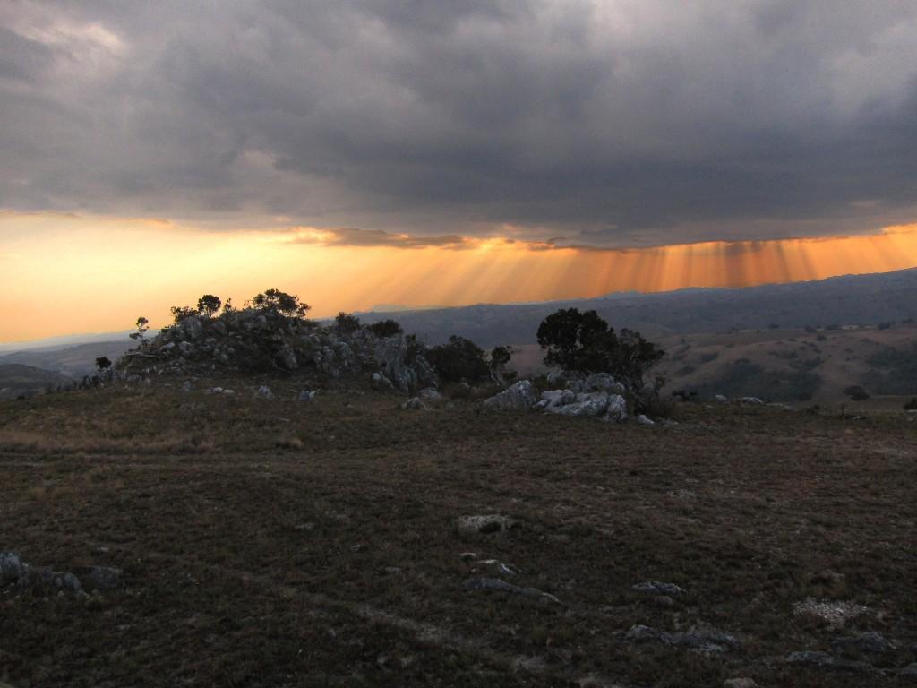 Nyika National Park Wallpapers