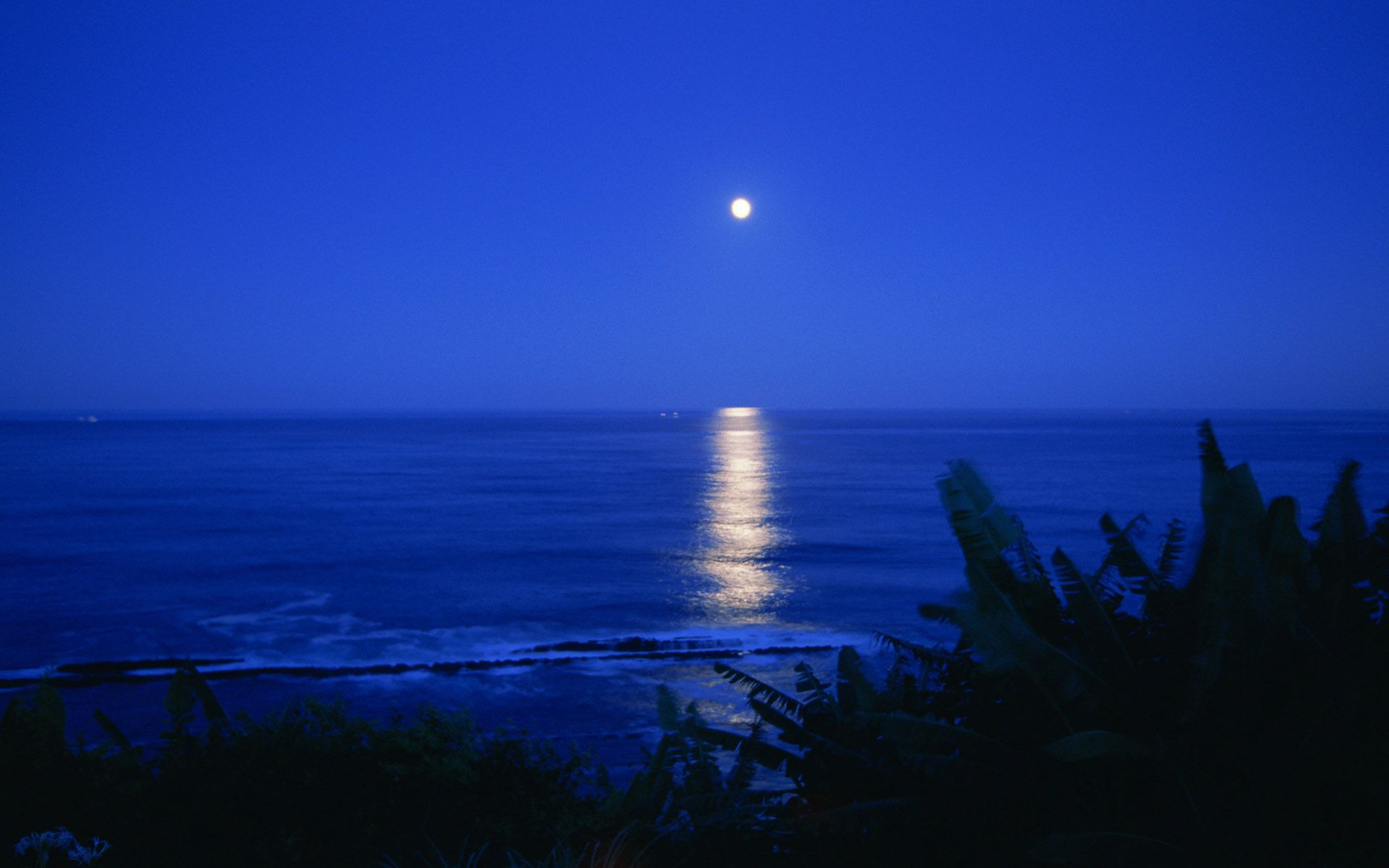 Ocean During Nighttime With Moon Wallpapers