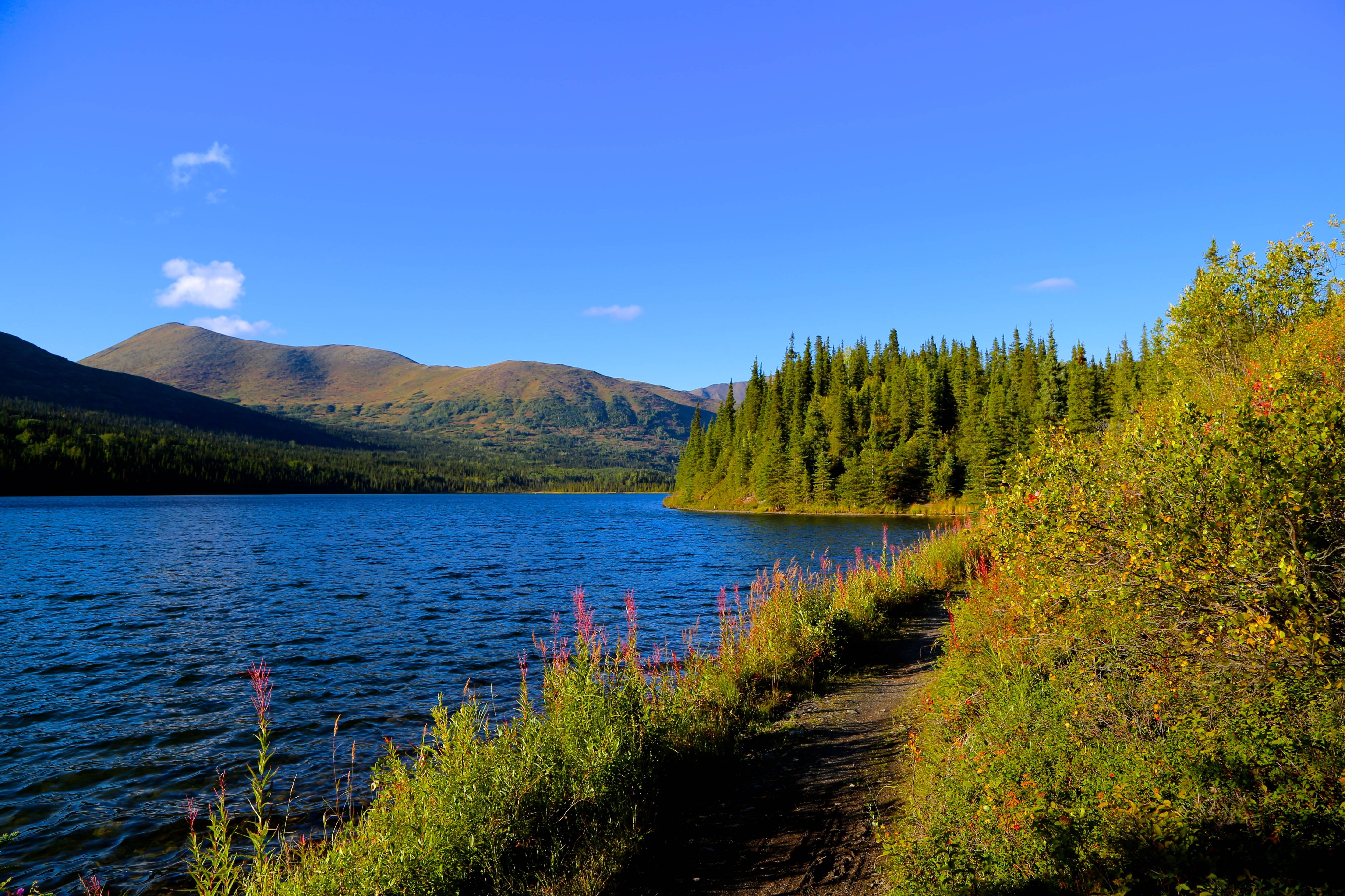 Ocean In Alaska Juneau Wallpapers