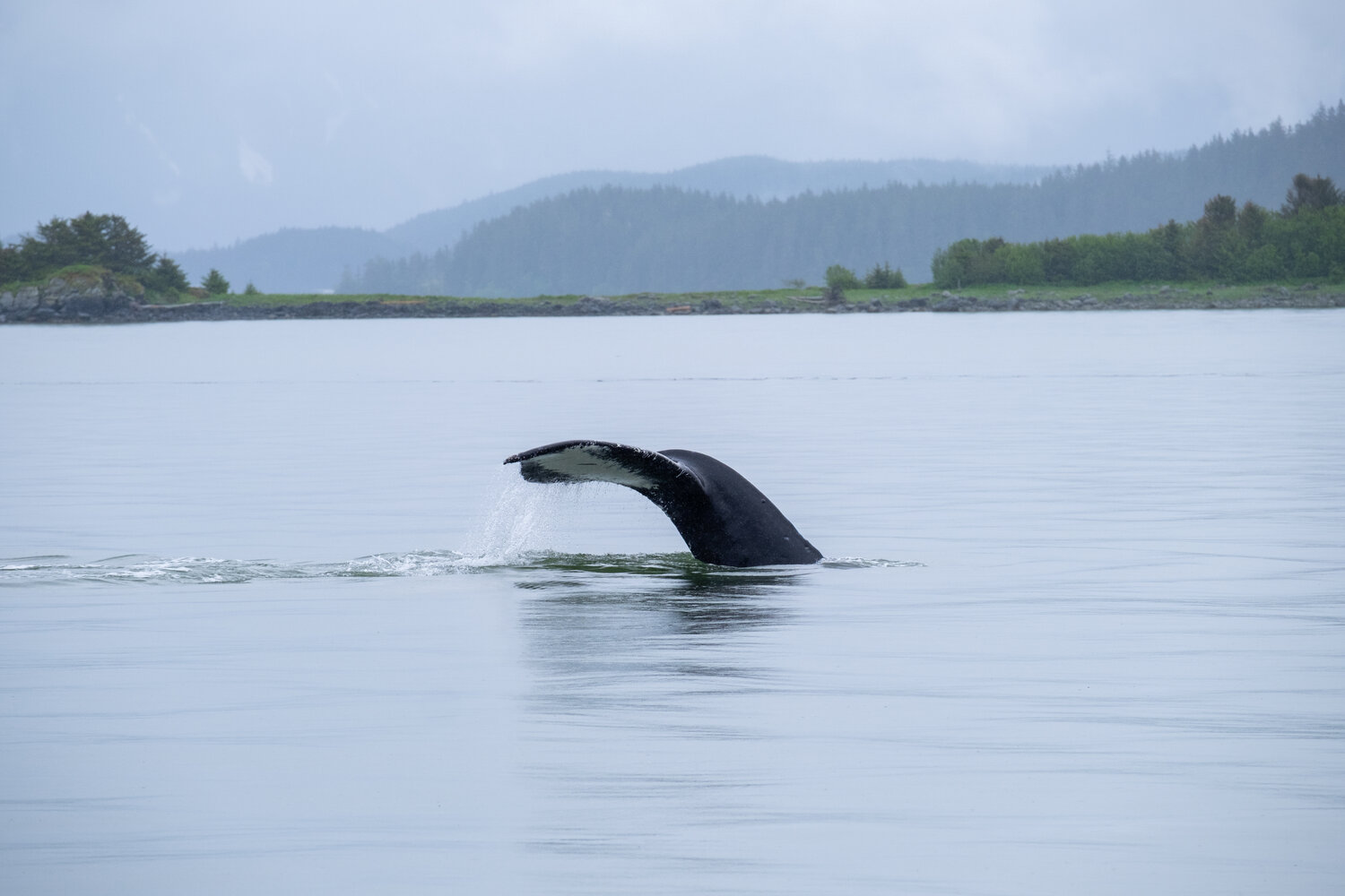 Ocean In Alaska Juneau Wallpapers