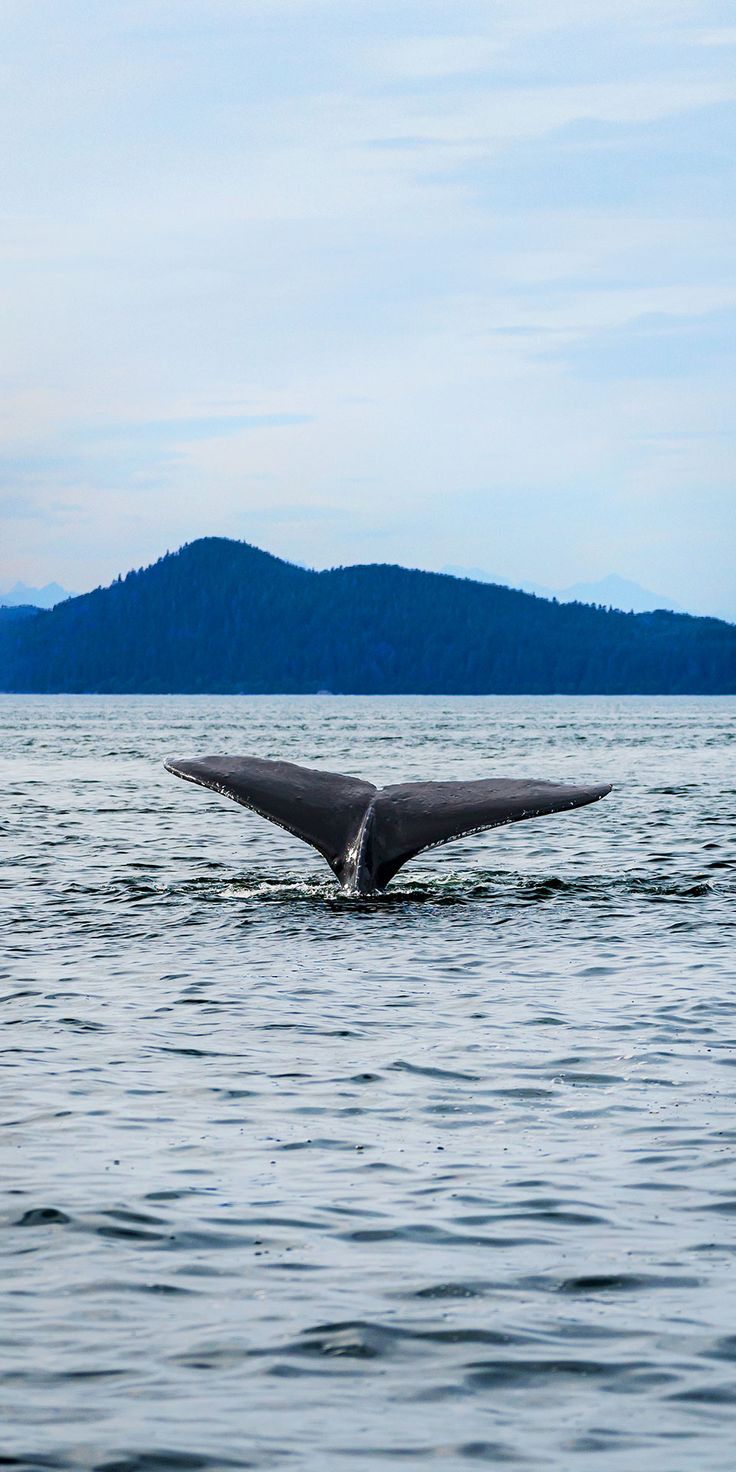 Ocean In Alaska Juneau Wallpapers