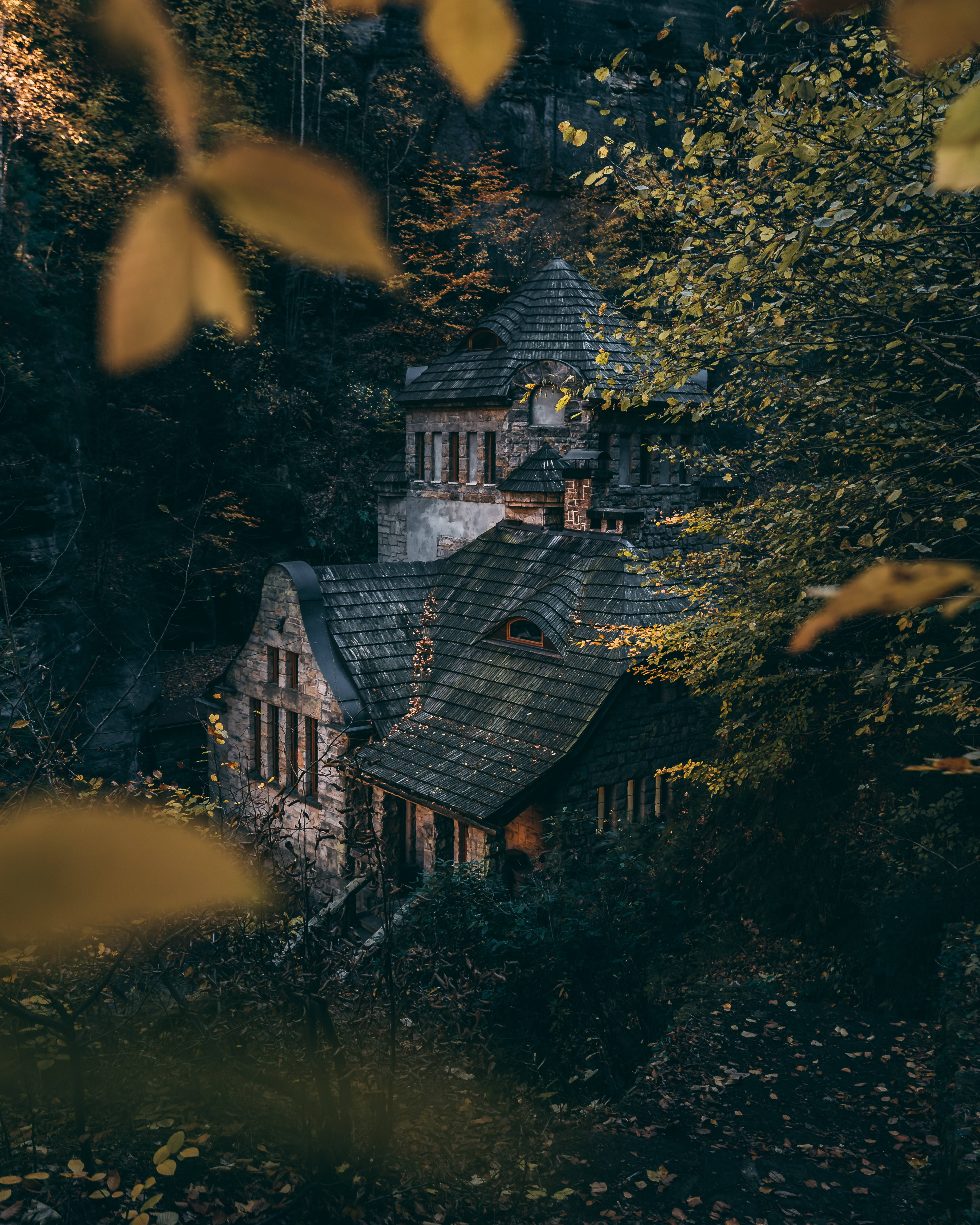 Old House In Forest Wallpapers