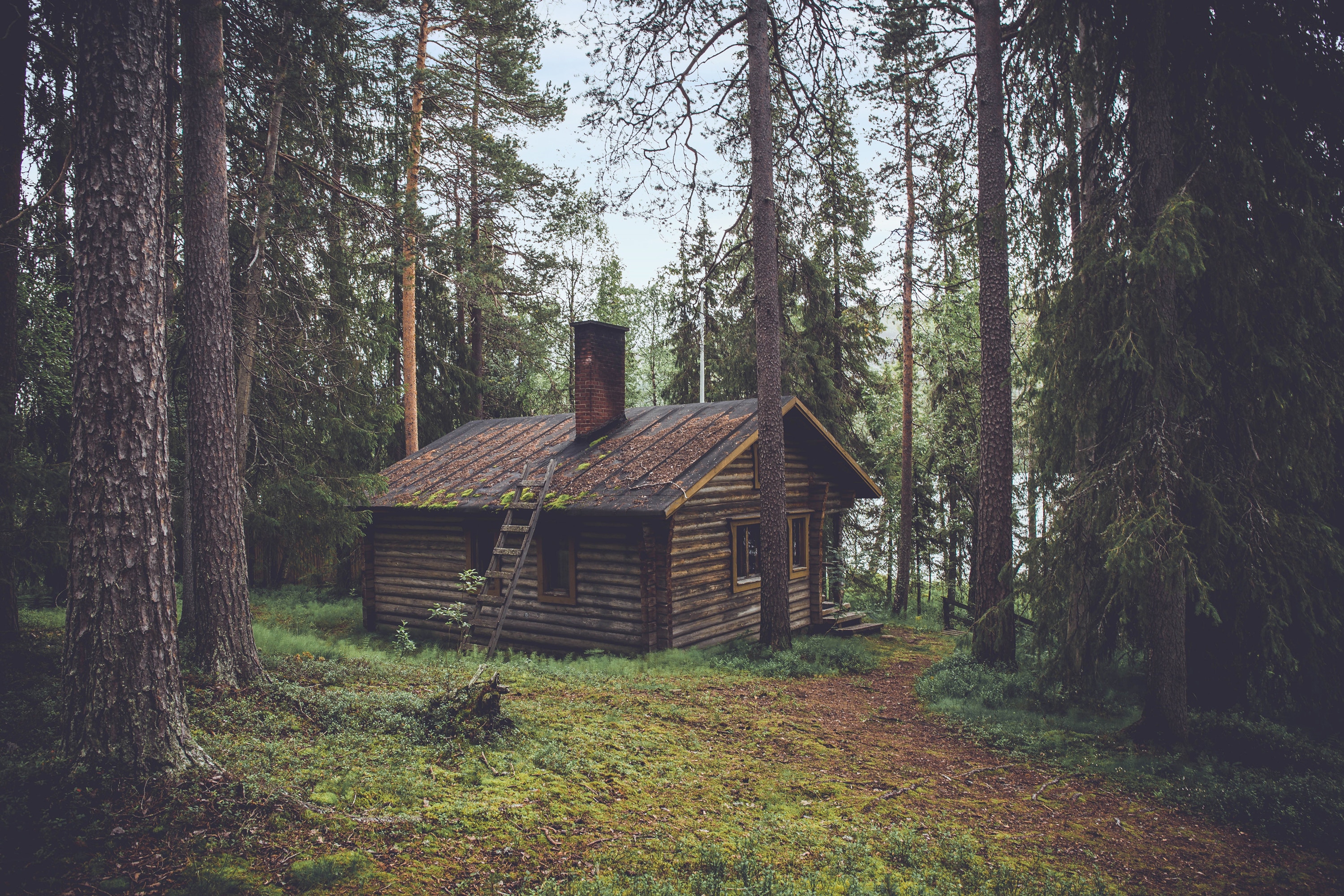 Old House In Forest Wallpapers