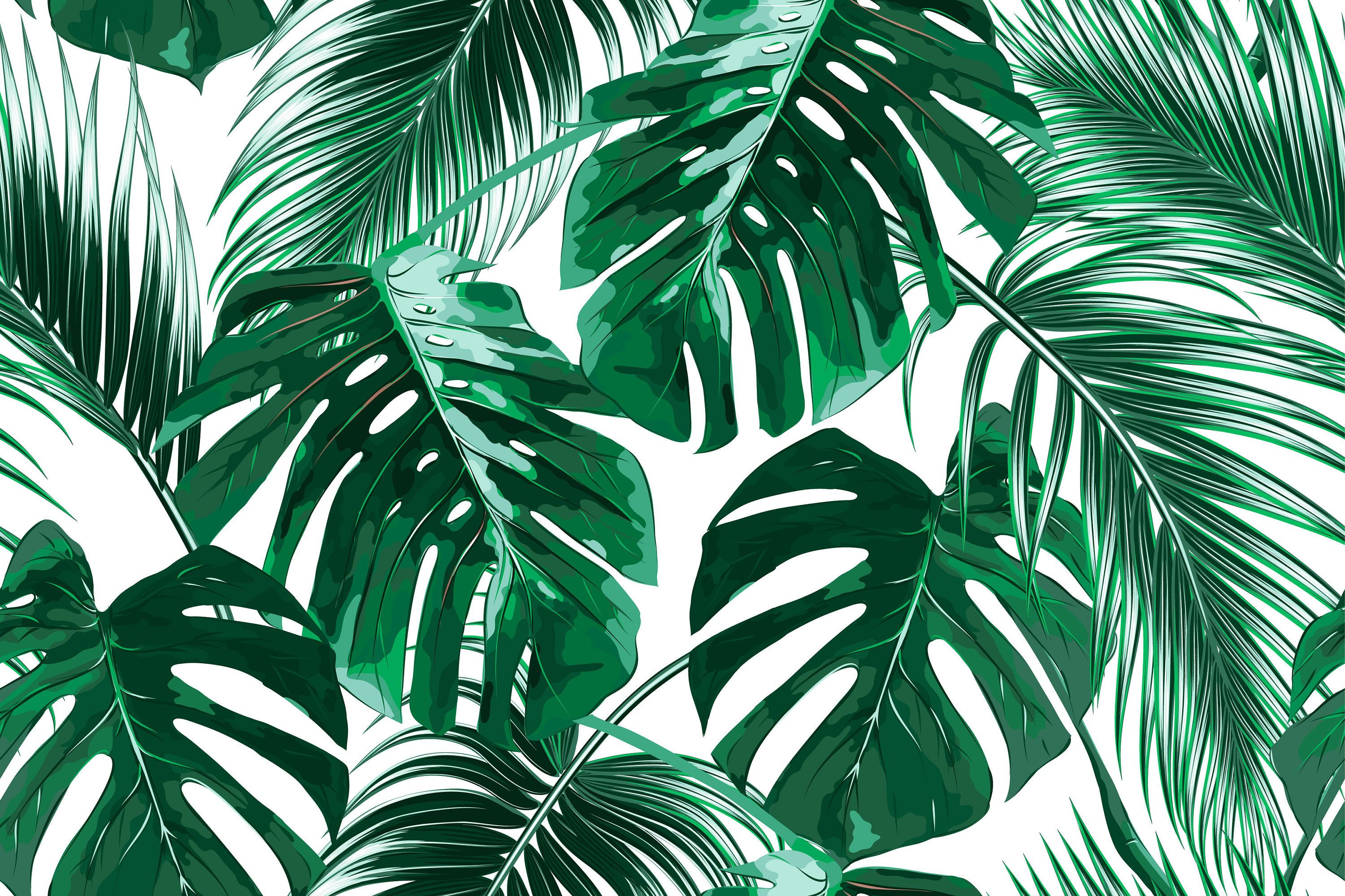 Palm Leaf Wallpapers