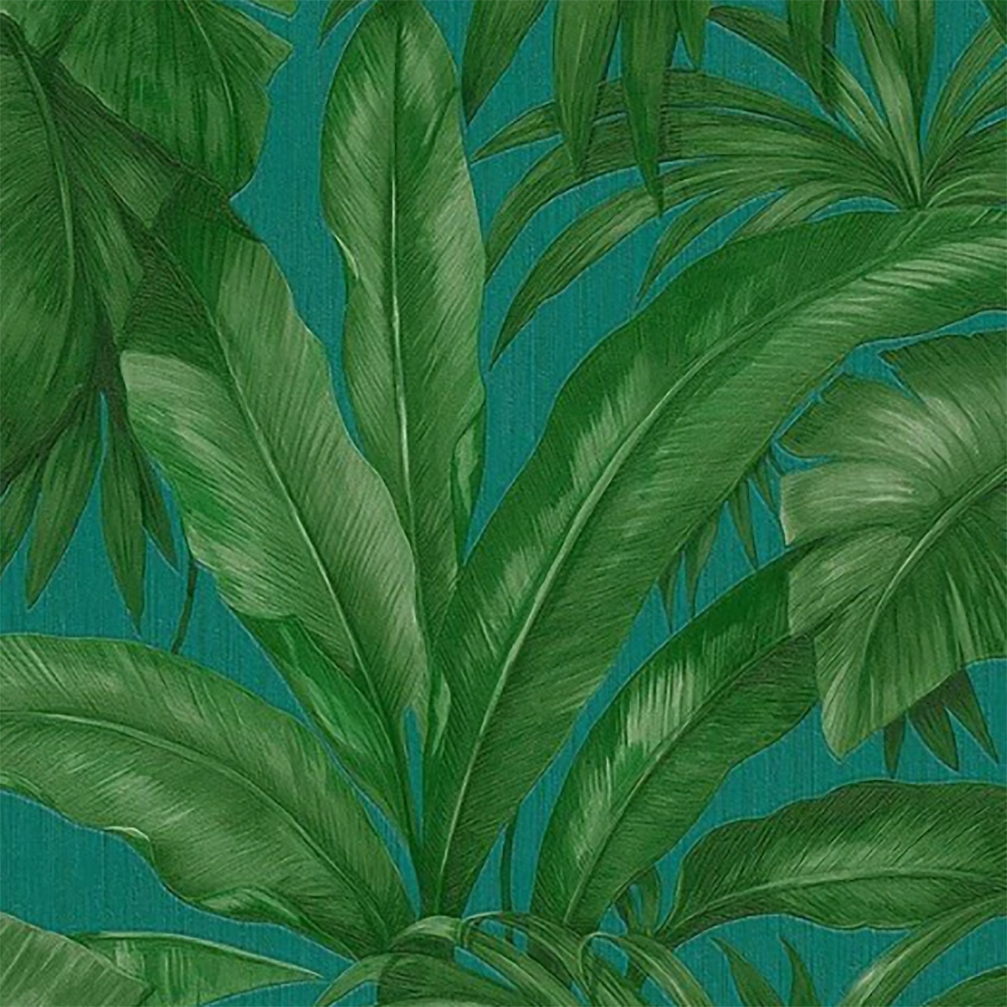 Palm Leaf Wallpapers