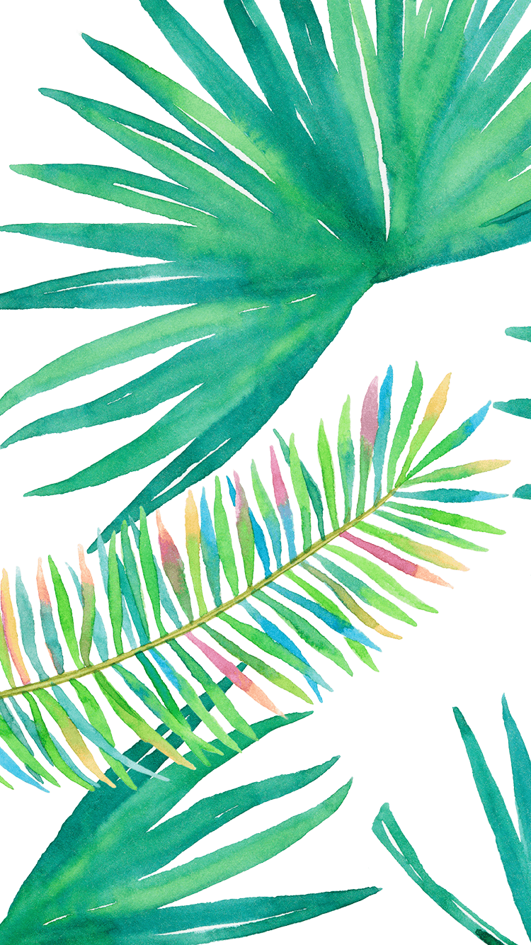 Palm Leaves Iphone Wallpapers