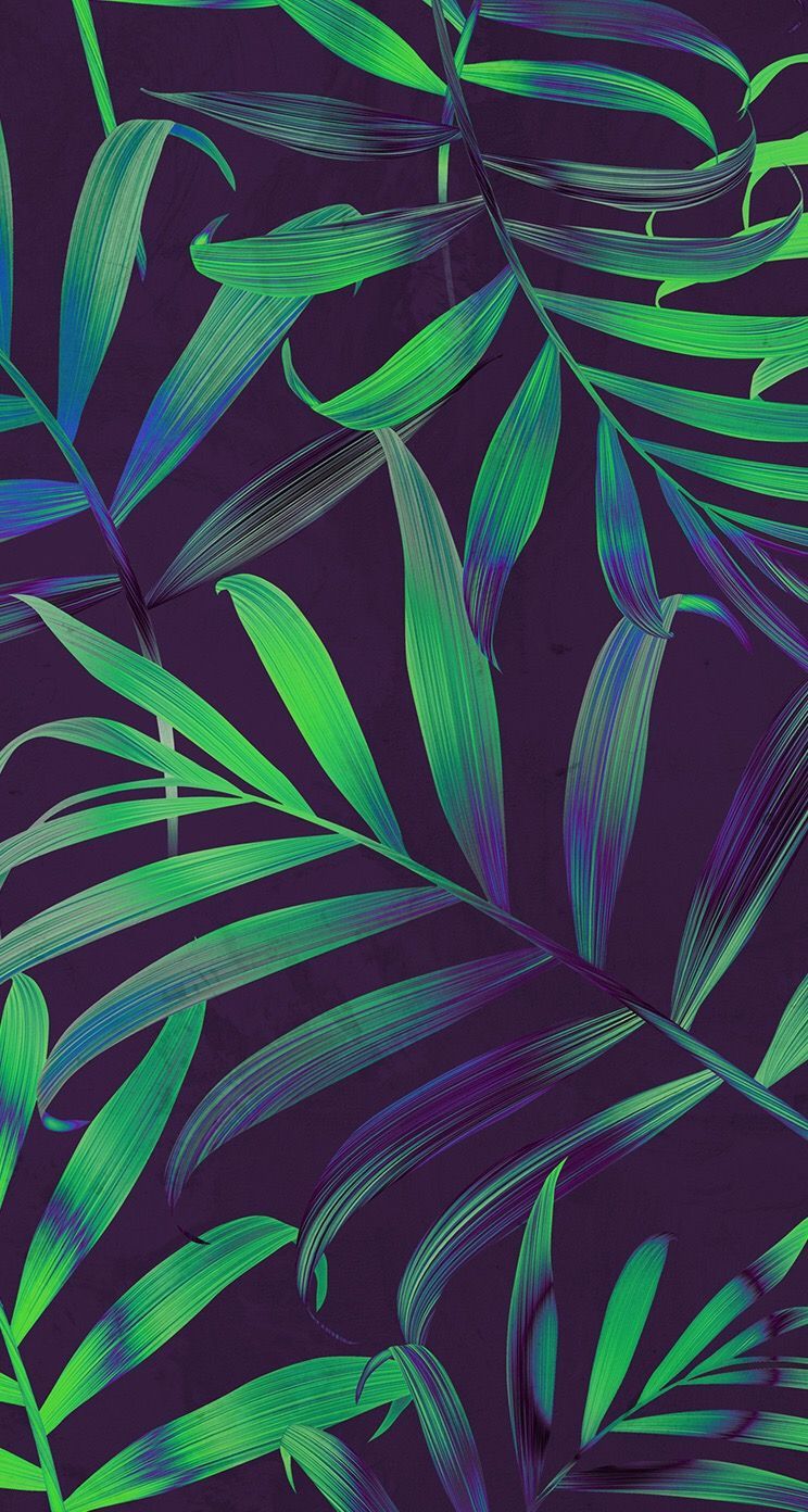 Palm Leaves Iphone Wallpapers