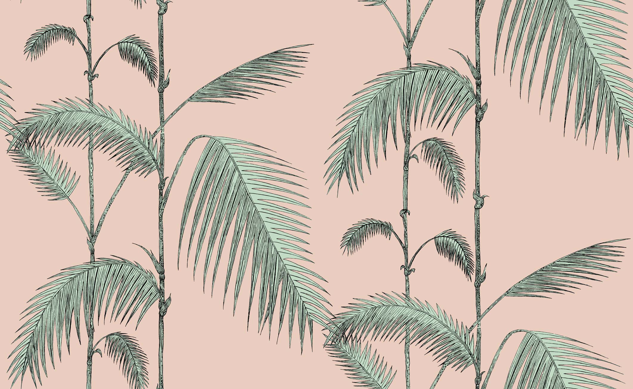 Palm Leaves Iphone Wallpapers