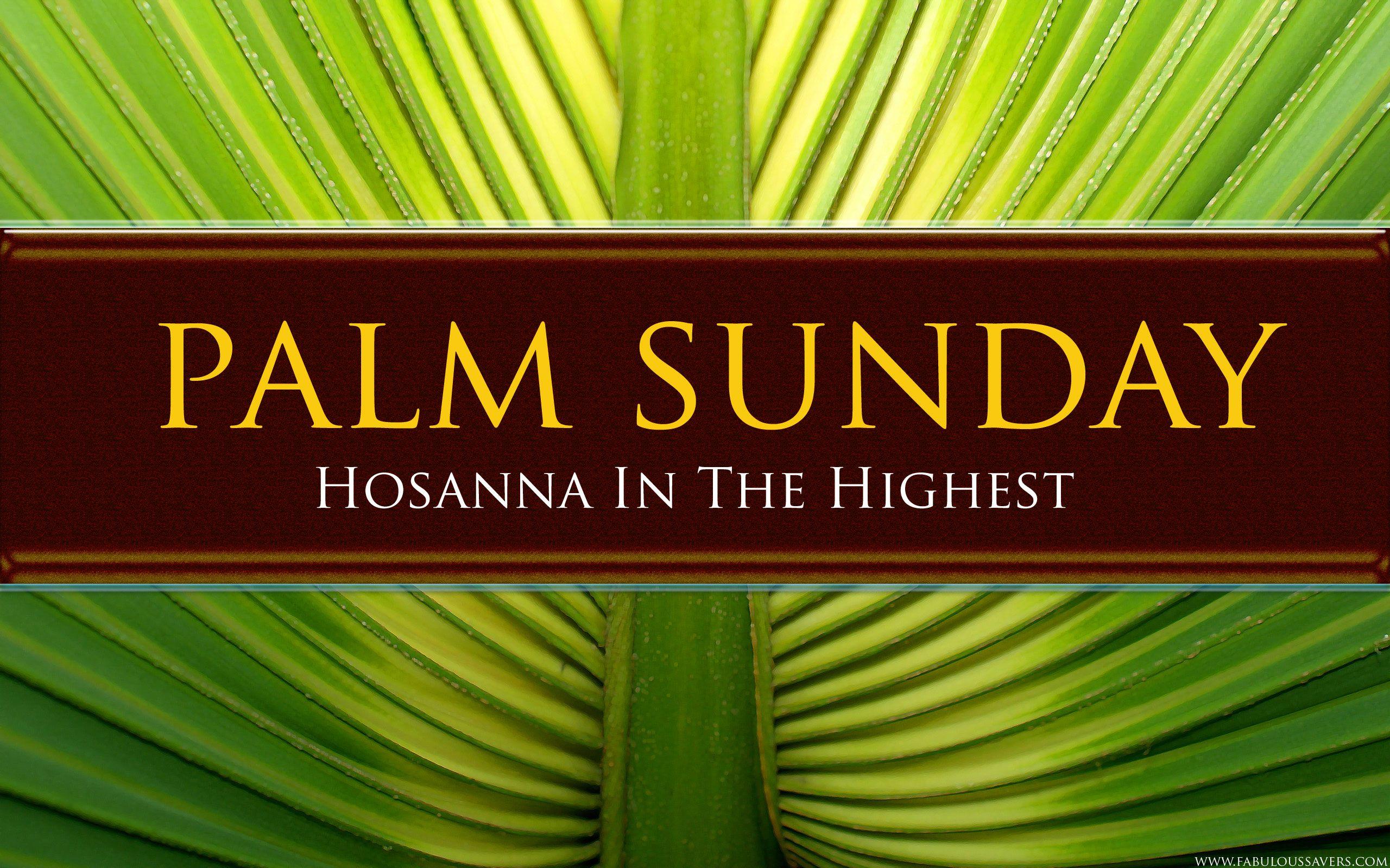 Palm Sunday Wallpapers