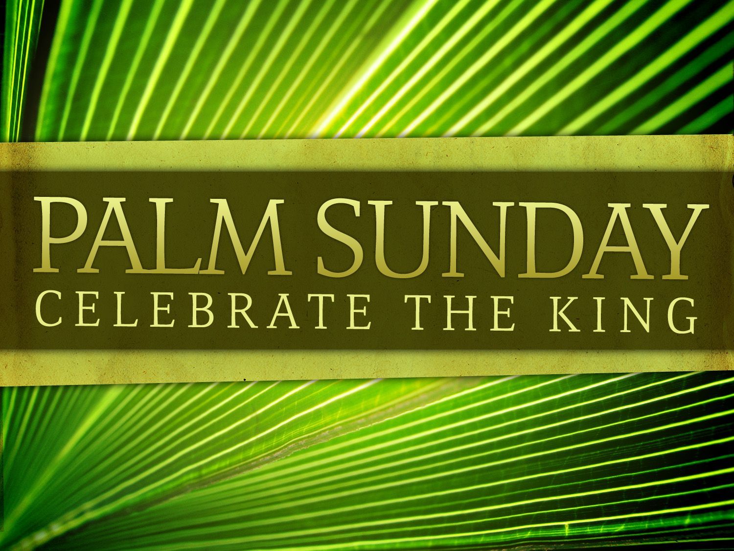 Palm Sunday Wallpapers