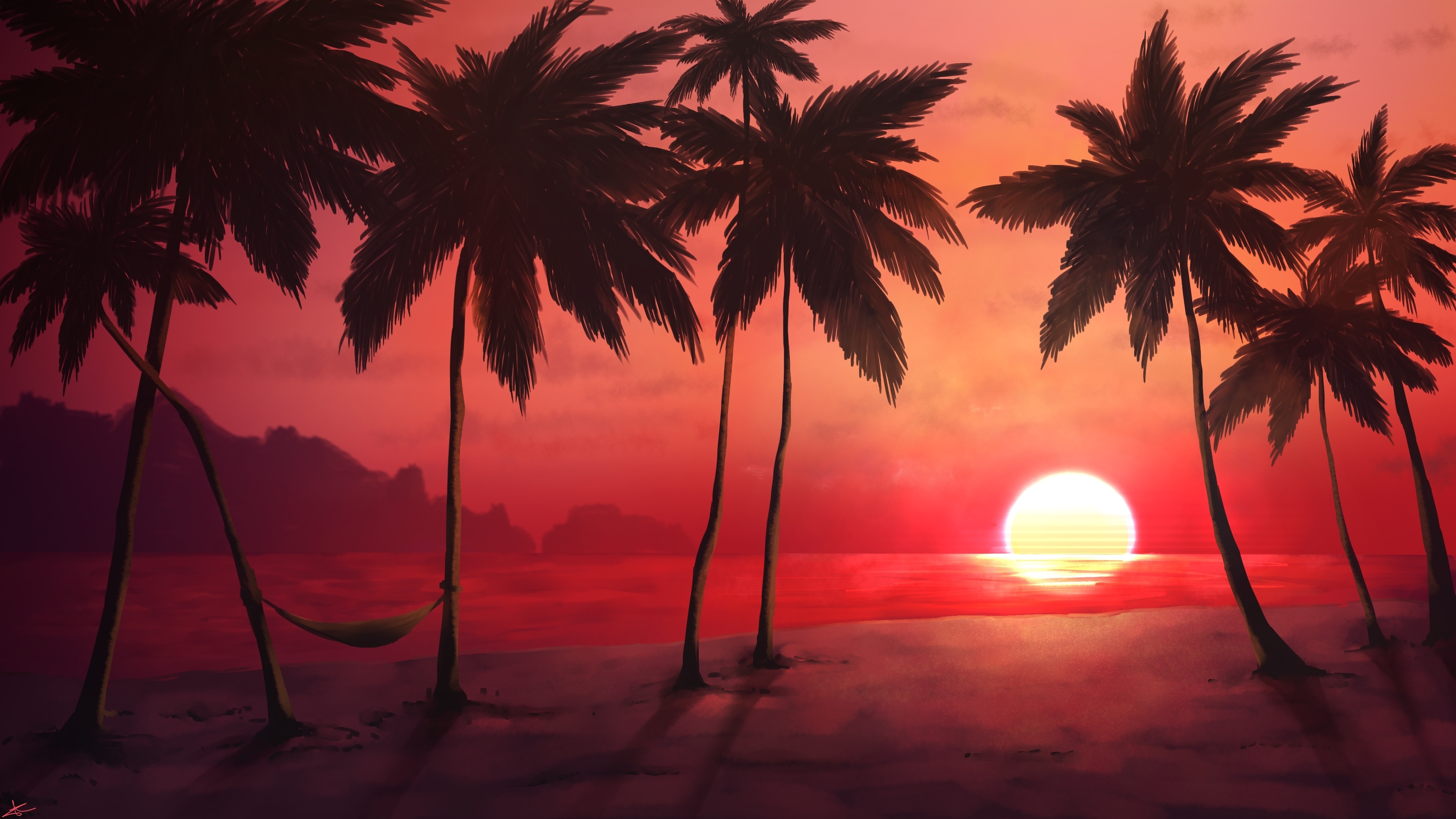 Palm Tree 4K Wallpapers