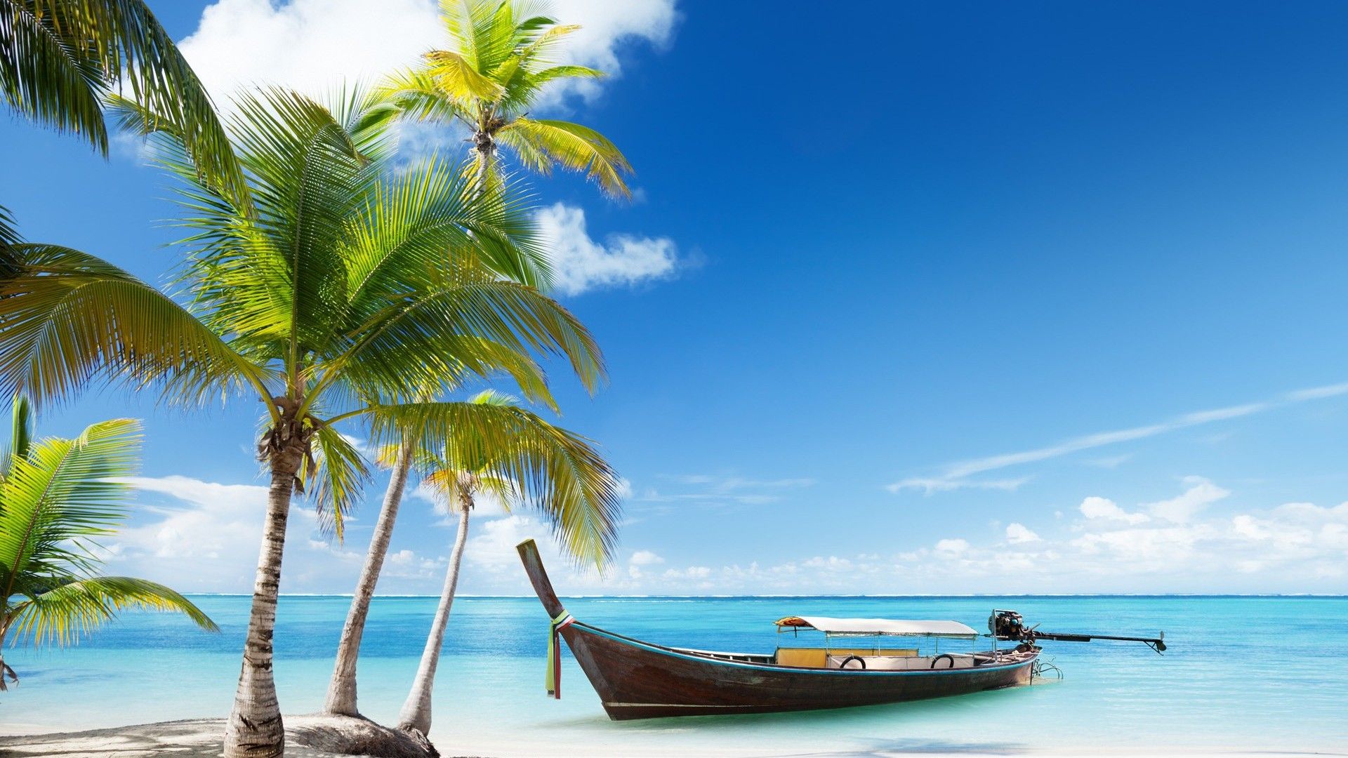 Palm Tree Beach Wallpapers