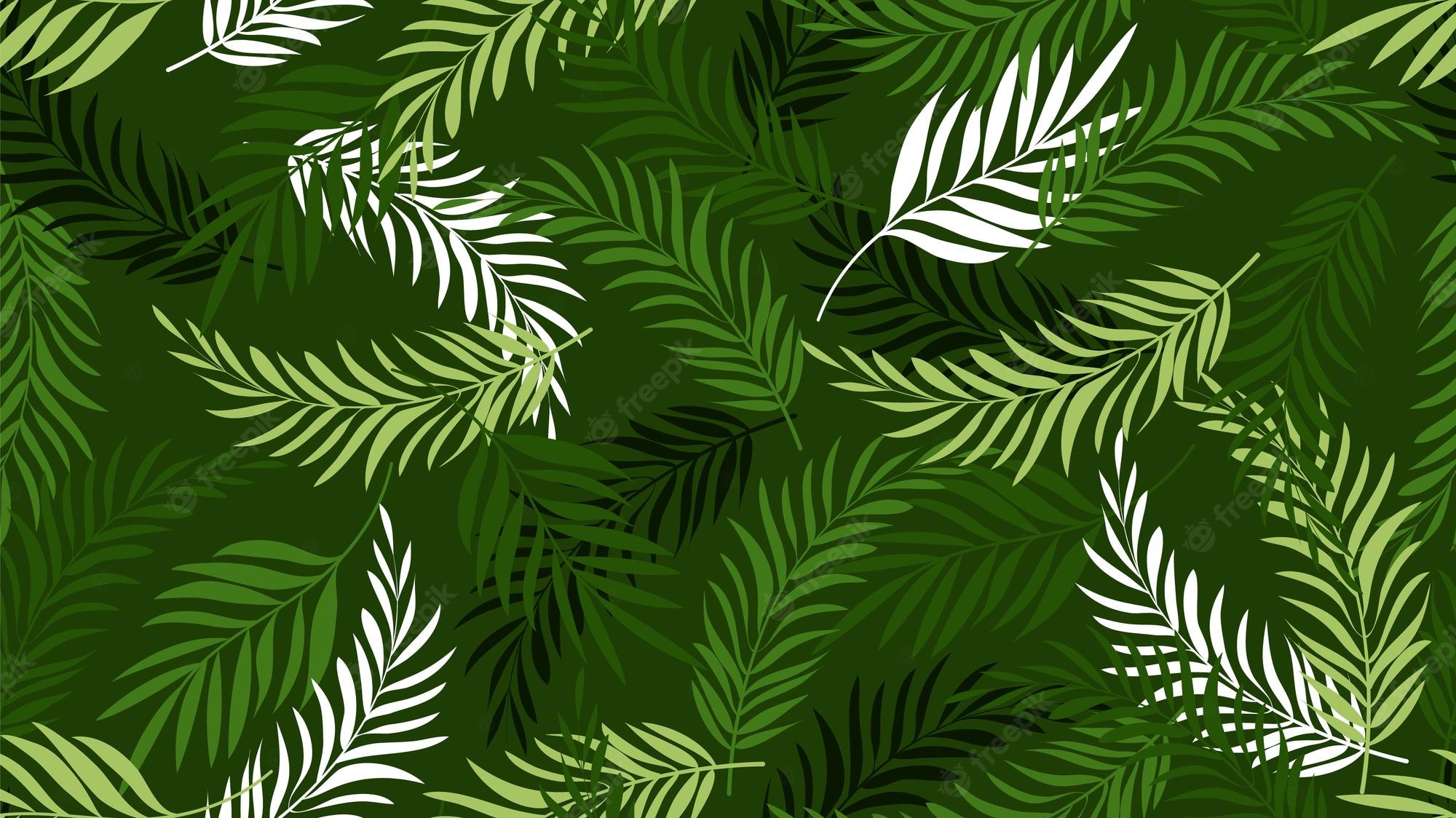 Palm Tree Leaf Wallpapers