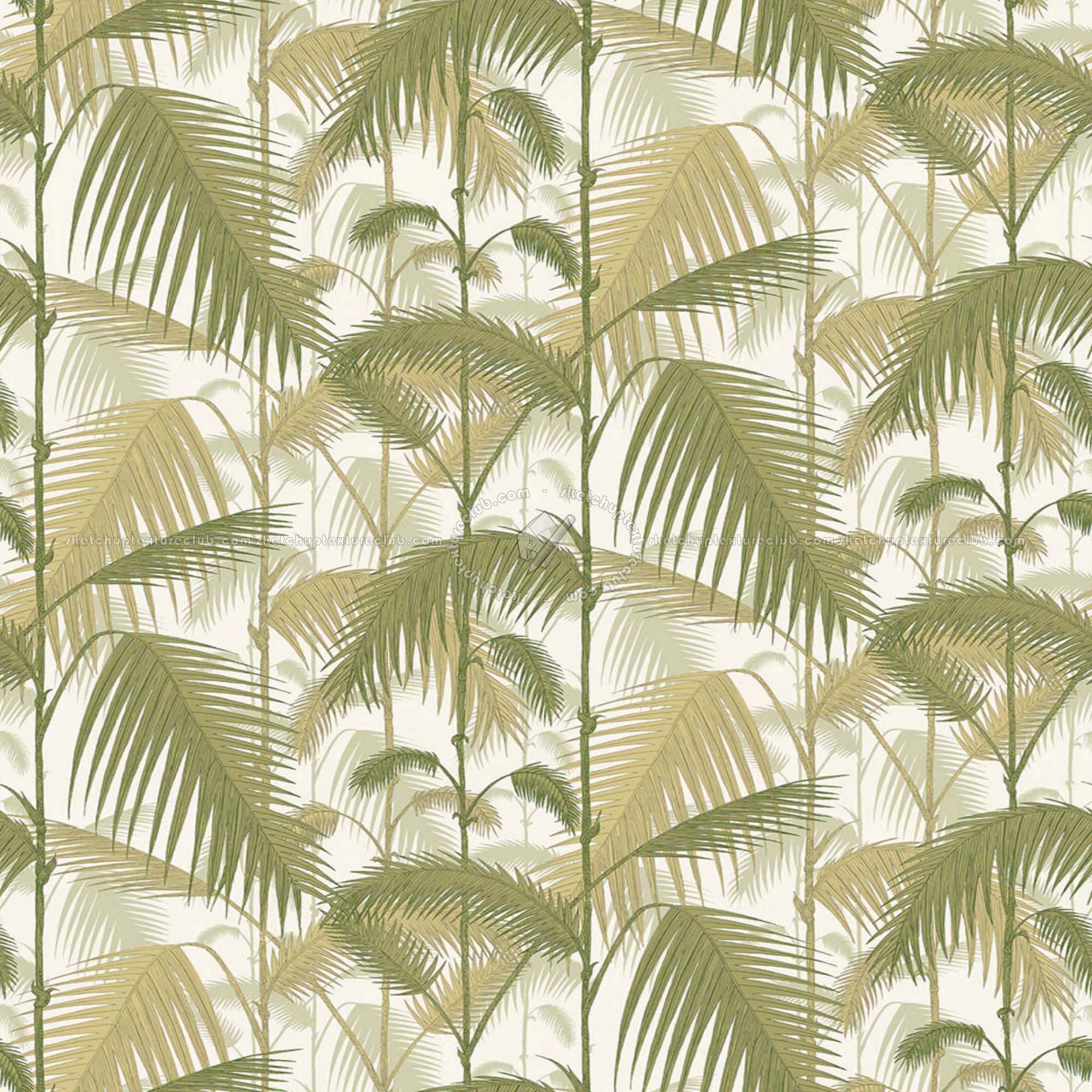 Palm Tree Leaf Wallpapers